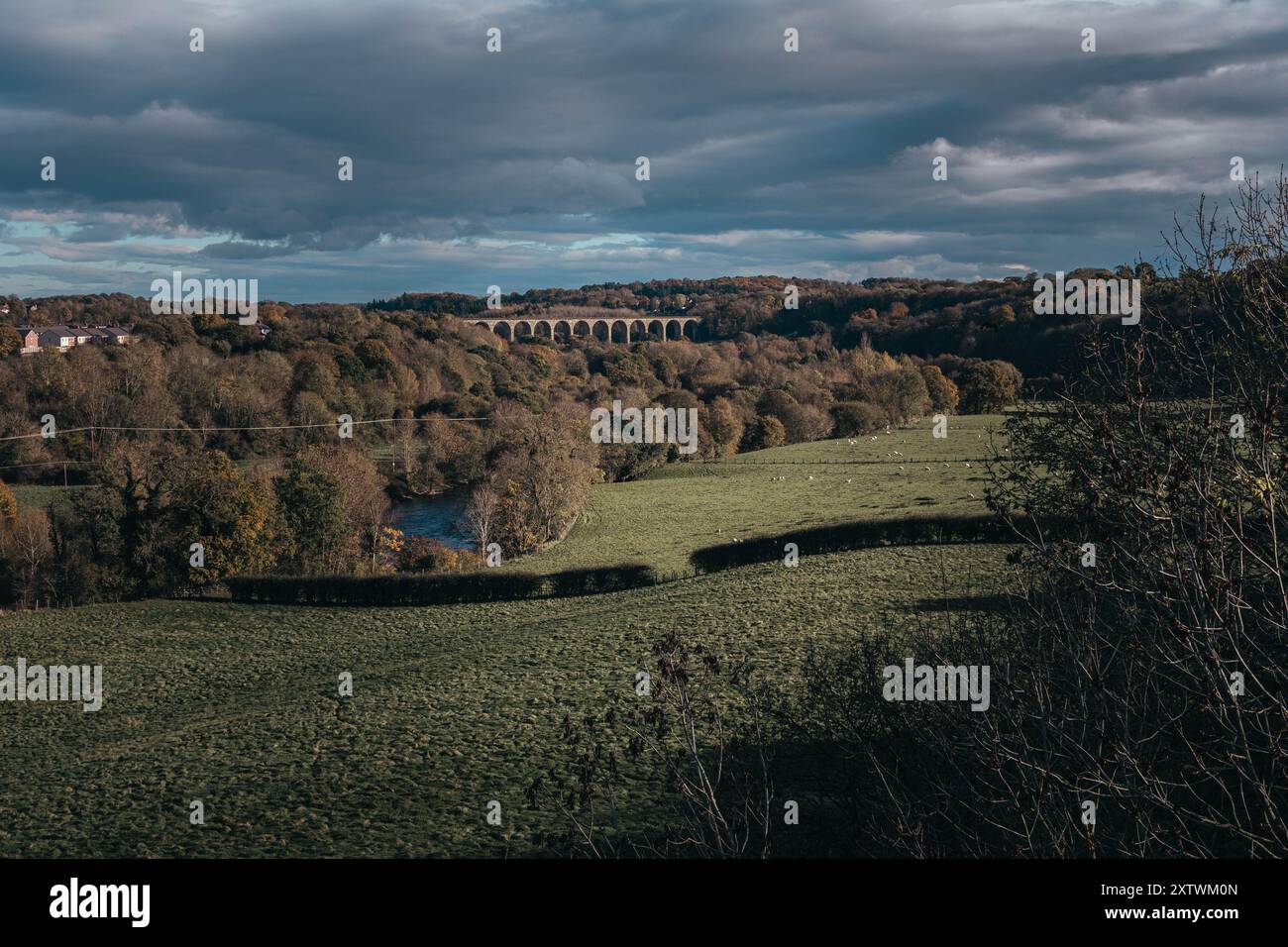 Pontcysyllte Aqueduct, Galles nordorientale, Regno Unito Foto Stock