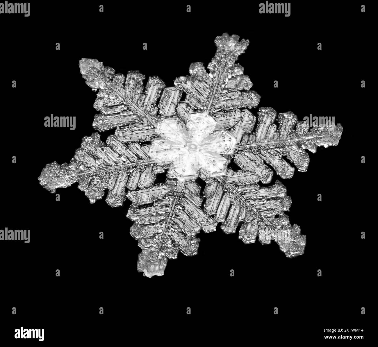 Foto macro di un singolo fiocco di neve con motivi intricati su sfondo nero. Foto Stock