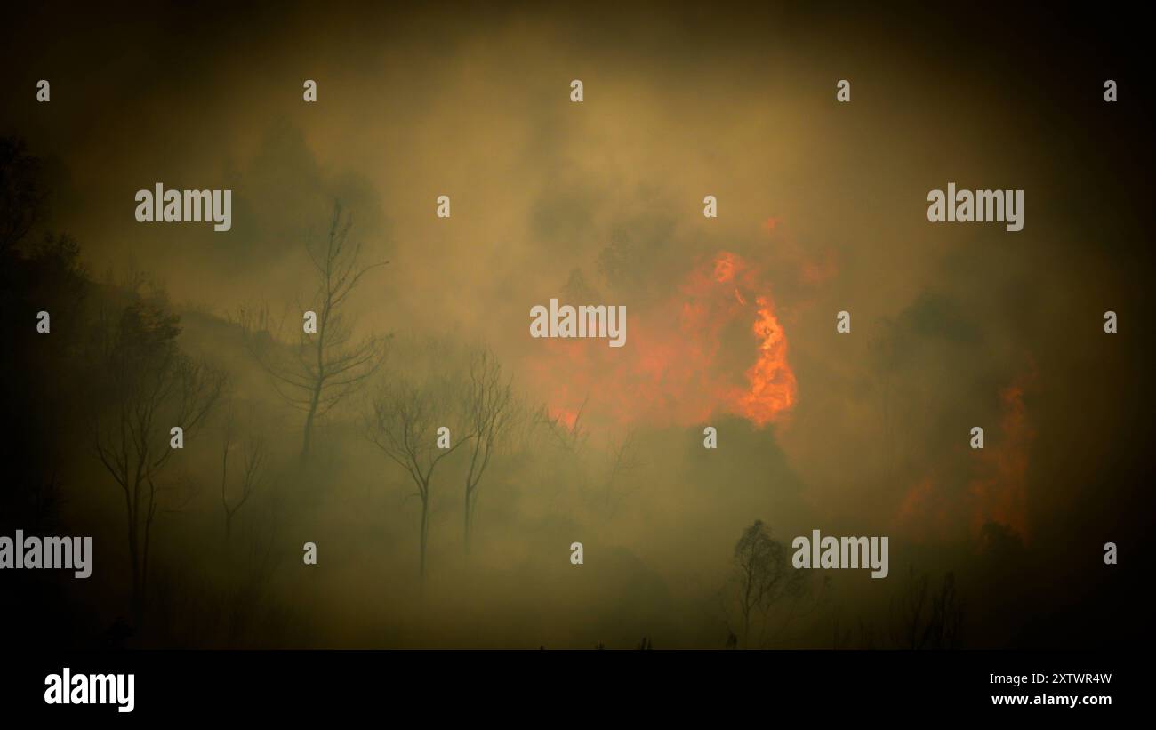 Wildfire ha raggiunto l'area residenziale gli sforzi per spegnere un incendio che è stato iniziato in una foresta nella zona Yamanlar del distretto di KarsÄyaka di Smirne ieri sera proseguono via terra e via aria. Alcuni quartieri dove le fiamme raggiunsero le aree residenziali a causa del forte vento furono evacuati. Si è visto che l'incendio, che si è diffuso su un'ampia area, ha bruciato alcune case, una scuola e un'area industriale. Izmir BayraklÄ Turchia Turchia Copyright: XIdilxToffolox DSC07707 Foto Stock