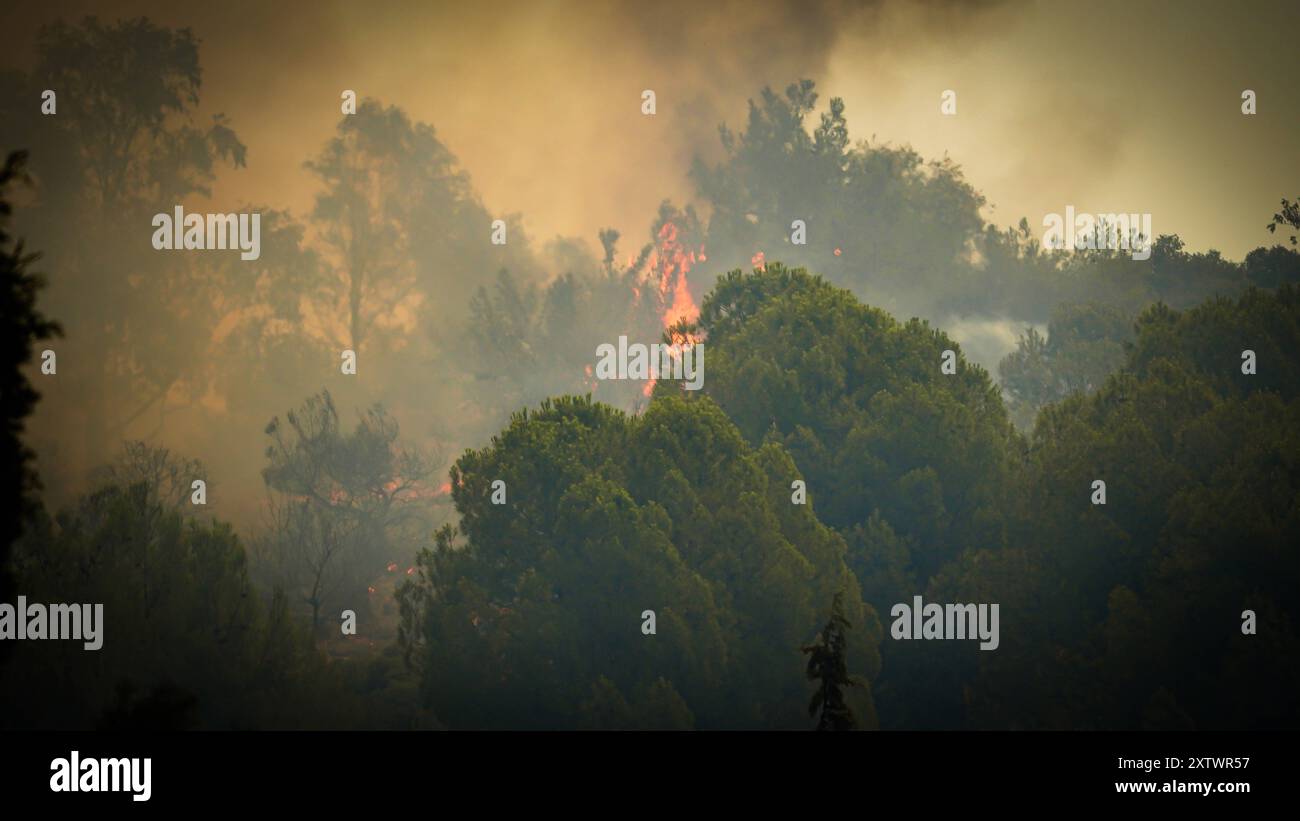 Wildfire ha raggiunto l'area residenziale gli sforzi per spegnere un incendio che è stato iniziato in una foresta nella zona Yamanlar del distretto di KarsÄyaka di Smirne ieri sera proseguono via terra e via aria. Alcuni quartieri dove le fiamme raggiunsero le aree residenziali a causa del forte vento furono evacuati. Si è visto che l'incendio, che si è diffuso su un'ampia area, ha bruciato alcune case, una scuola e un'area industriale. Izmir BayraklÄ Turchia Turchia Copyright: XIdilxToffolox DSC07721 Foto Stock