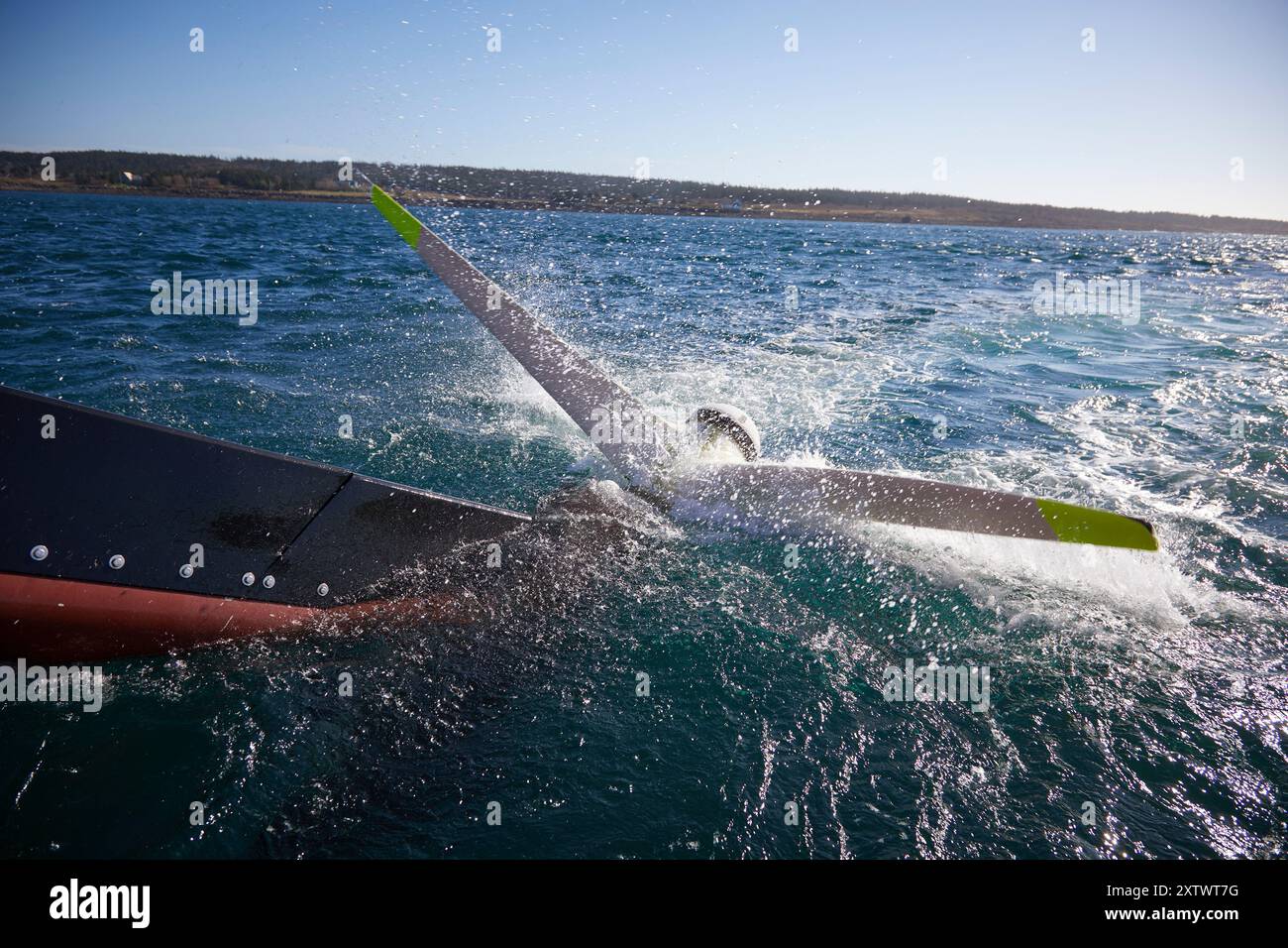 davidgoldmanphoto Foto Stock