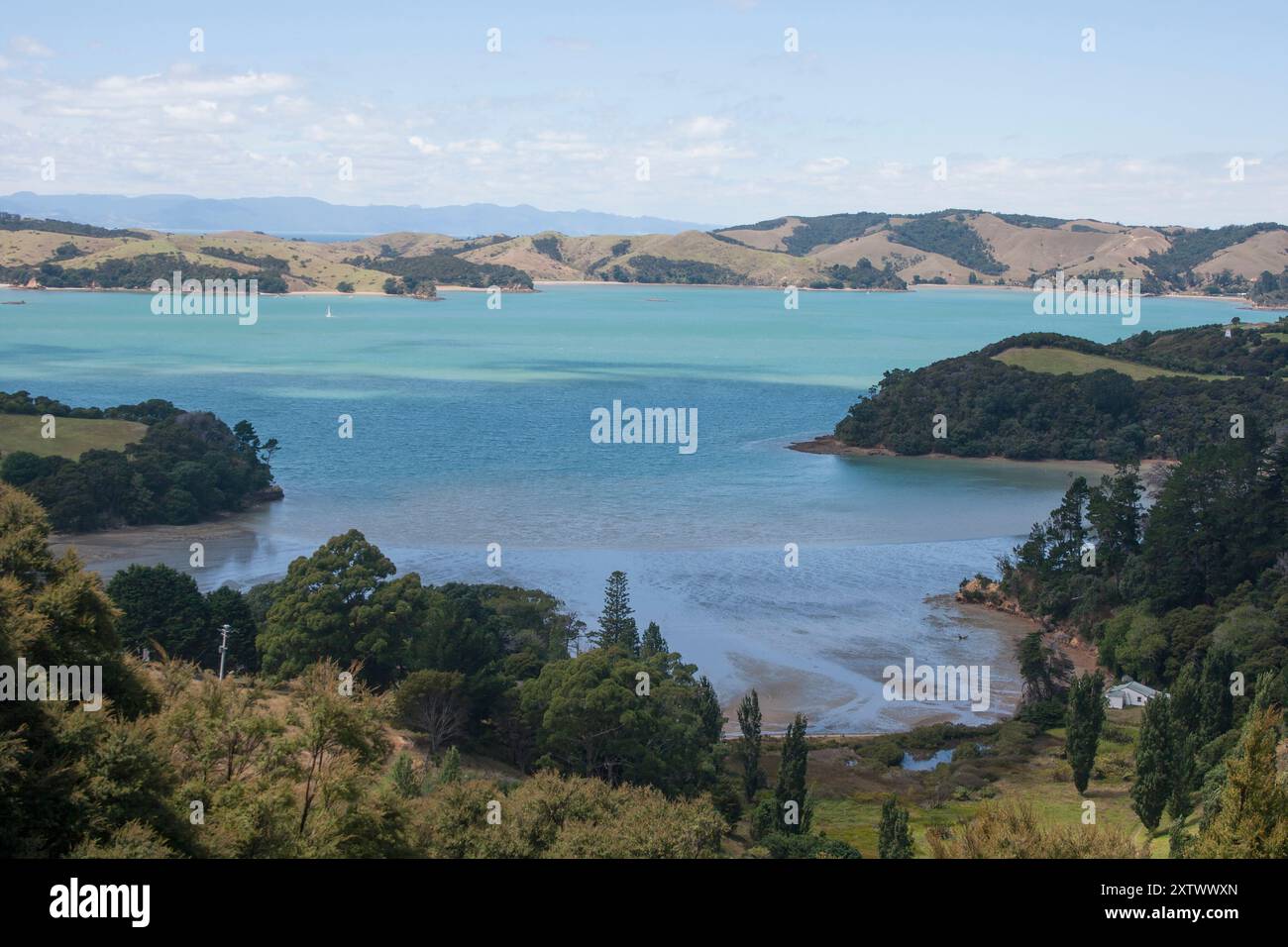 Il paesaggio costiero presenta lussureggianti colline verdi e una tranquilla baia blu punteggiata di isole sotto un cielo nuvoloso, Waiheke Island, nuova Zelanda Foto Stock