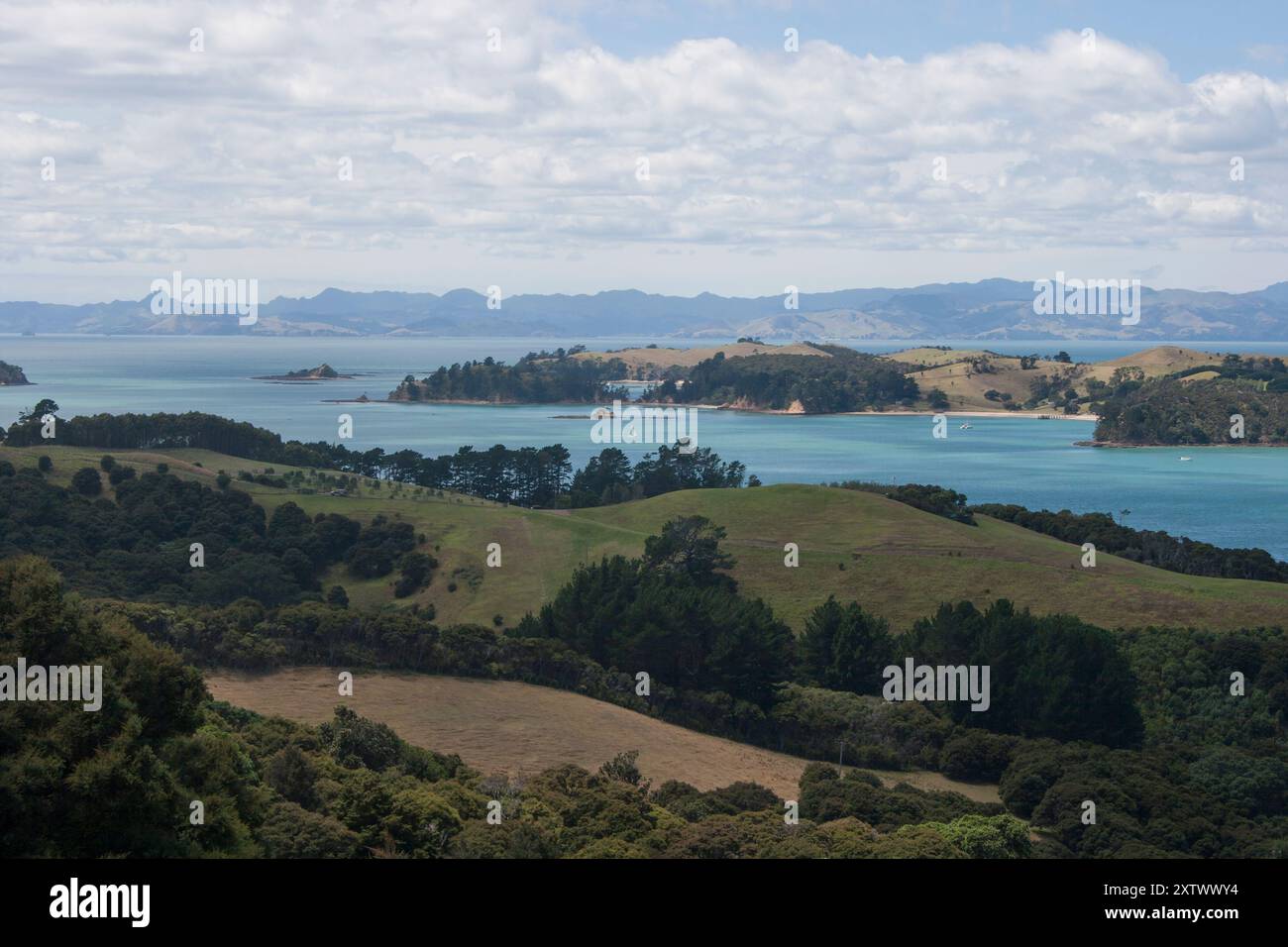 Il paesaggio costiero presenta lussureggianti colline verdi e una tranquilla baia blu punteggiata di isole sotto un cielo nuvoloso, Waiheke Island, nuova Zelanda Foto Stock