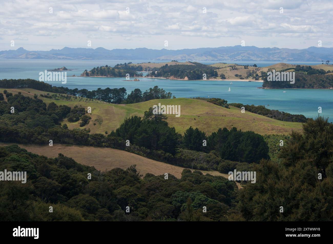 Il paesaggio costiero presenta lussureggianti colline verdi e una tranquilla baia blu punteggiata di isole sotto un cielo nuvoloso, Waiheke Island, nuova Zelanda Foto Stock