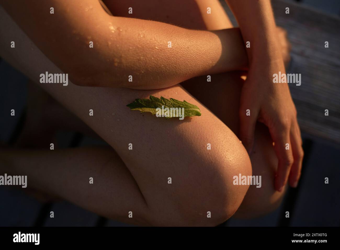 Primo piano della pelle bagnata di una persona con una foglia verde sul ginocchio, illuminata dalla luce calda del sole. Foto Stock