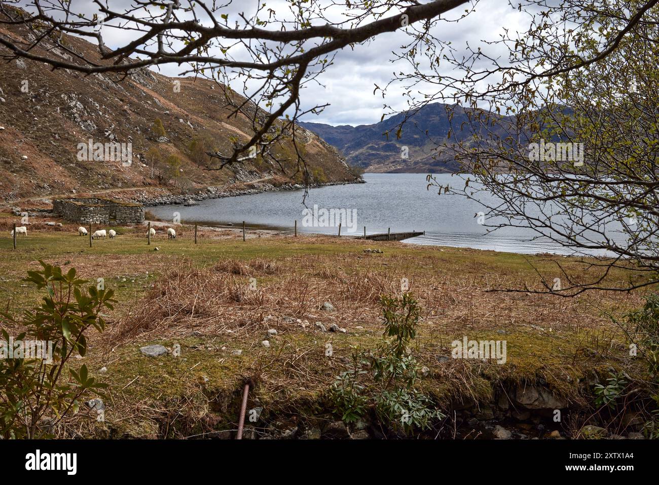 Adagiato sulla riva del lago Morar, i resti ben tenuti e senza tetto della storica Cappella di Inverbeg costruita in pietra da Morar, Mallaig, Scozia Foto Stock