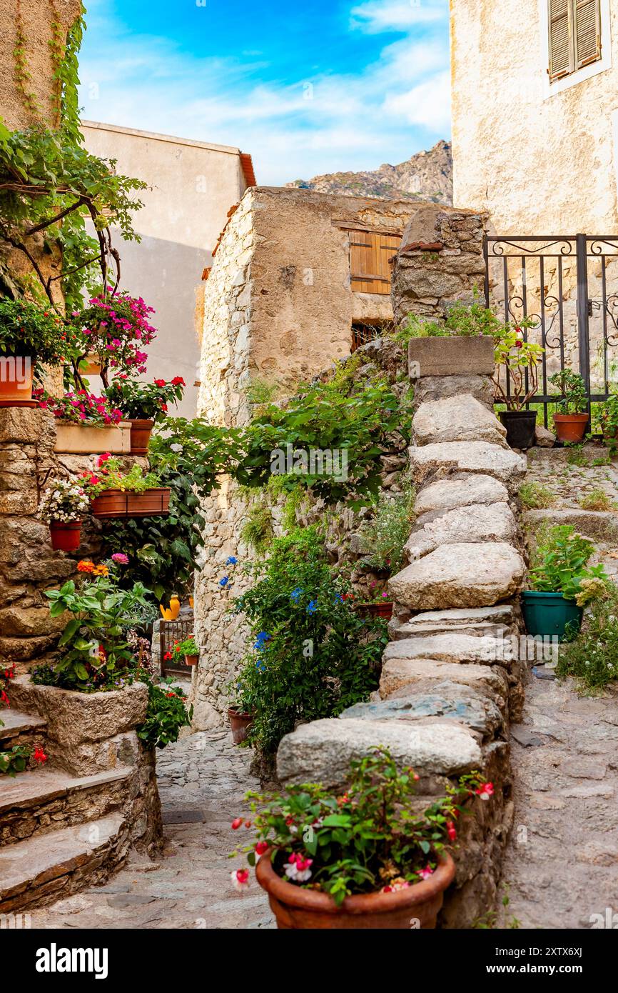 Lama, una città collinare annidata tra le montagne. Balagne, Corsica, Francia. Lama, un pittoresco villaggio collinare a Balagne, Corsica. Foto Stock