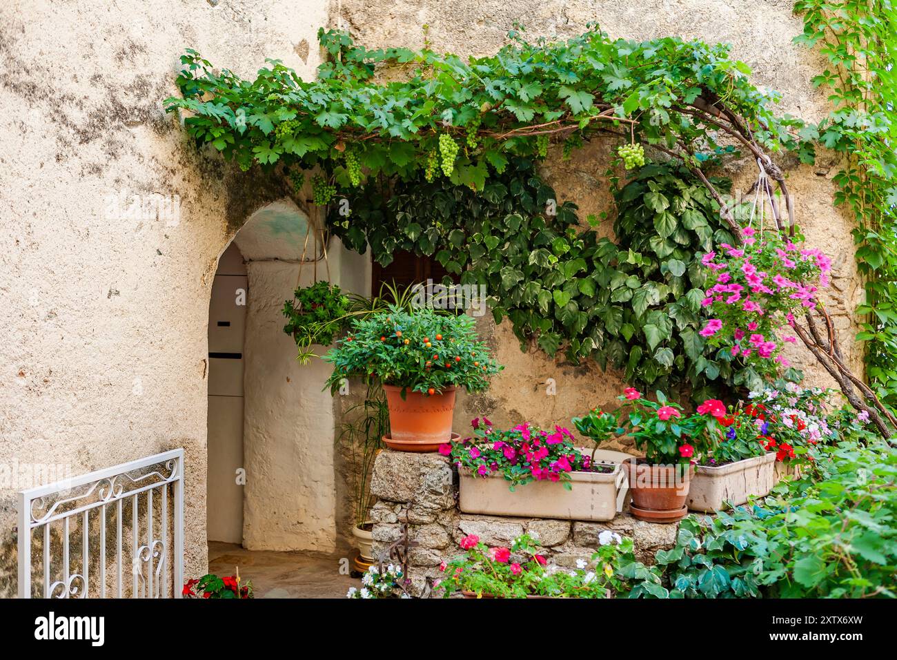 Lama, una città collinare annidata tra le montagne. Balagne, Corsica, Francia. Lama, un pittoresco villaggio collinare a Balagne, Corsica. Foto Stock