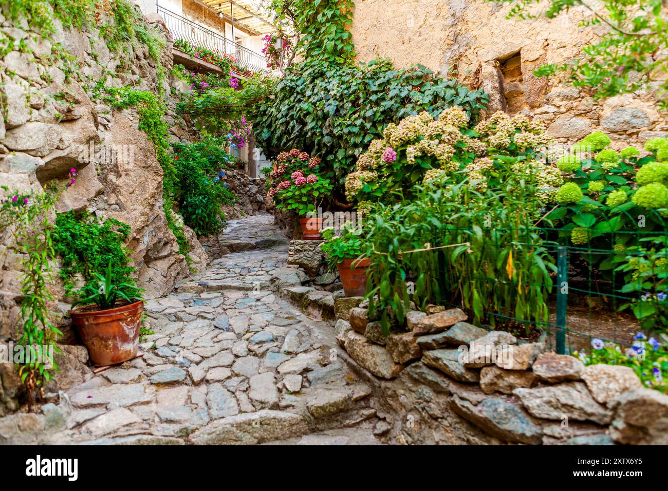 Lama, una città collinare annidata tra le montagne. Balagne, Corsica, Francia. Lama, un pittoresco villaggio collinare a Balagne, Corsica. Foto Stock