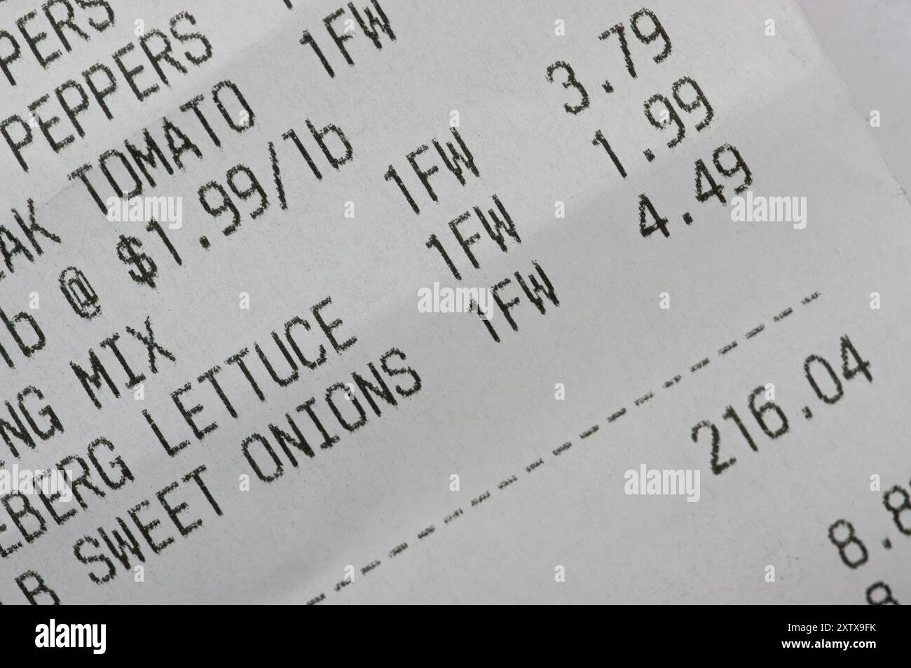 Foto macro di una ricevuta di spesa per prodotti dell'importo di $ 216,04 Foto Stock