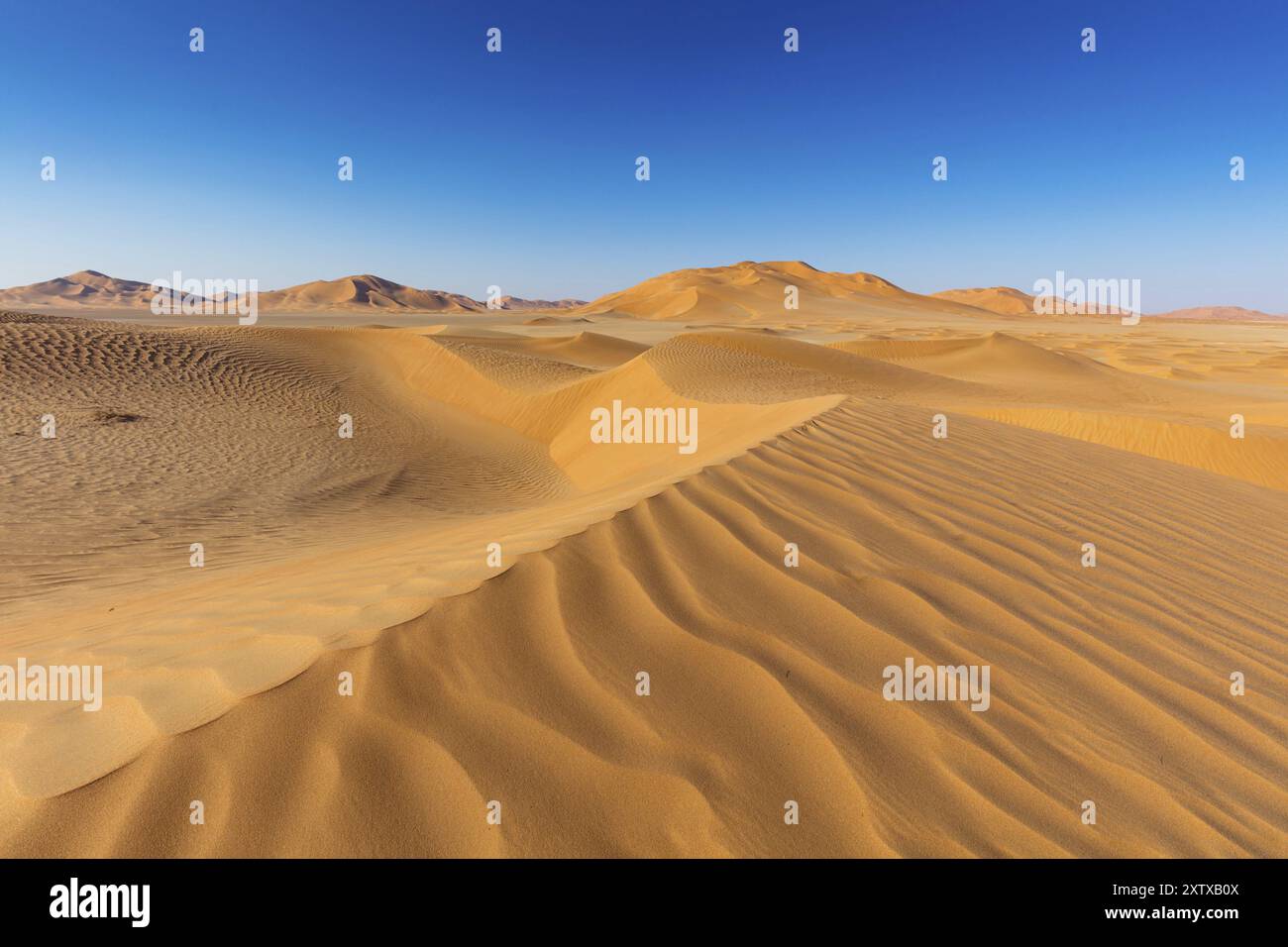 Rub al-Shali, il più grande deserto della terra in Oman, Rub al-Chali, quartiere vuoto di nea, Salalah, Governatorato di Dhofar, Oman, Asia Foto Stock