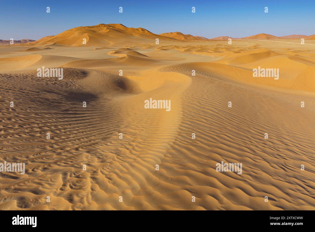 Rub al-Shali, il più grande deserto della terra in Oman, Rub al-Chali, quartiere vuoto di nea, Salalah, Governatorato di Dhofar, Oman, Asia Foto Stock