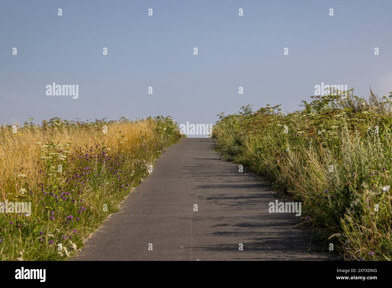 La pista ciclabile tra Falmer e Woodingdean nel Sussex, con un cielo blu in alto Foto Stock