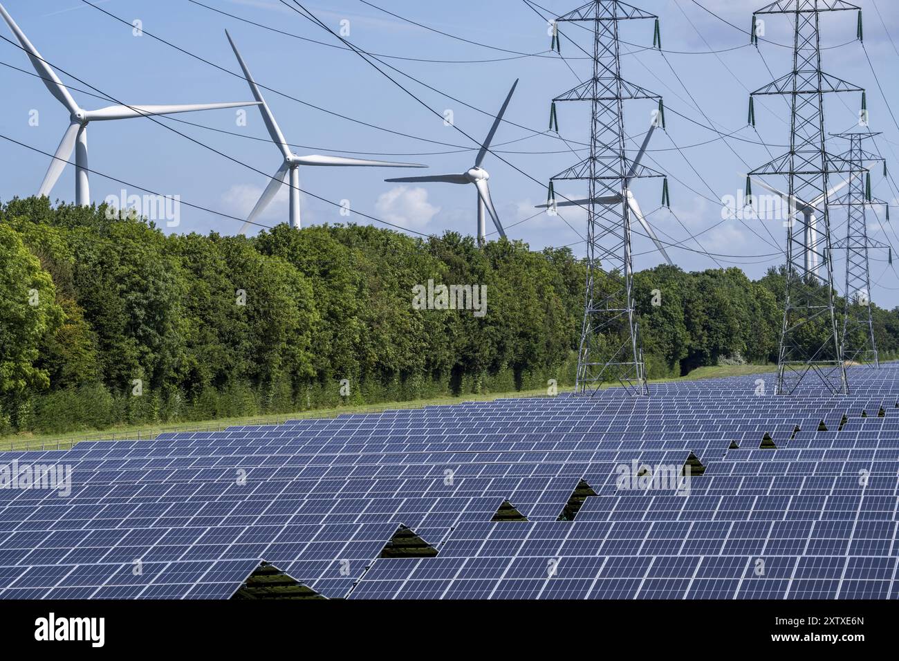 Linea elettrica ad alta tensione, lo spazio sottostante è utilizzato per un parco solare lungo oltre 5 km, dietro di esso un parco eolico, nella zona portuale di Vlissingen- Foto Stock Linea elettrica ad alta tensione, lo spazio sottostante è utilizzato per un parco solare lungo oltre 5 km, dietro di esso un parco eolico, nella zona portuale di Vlissingen- Foto Stock
