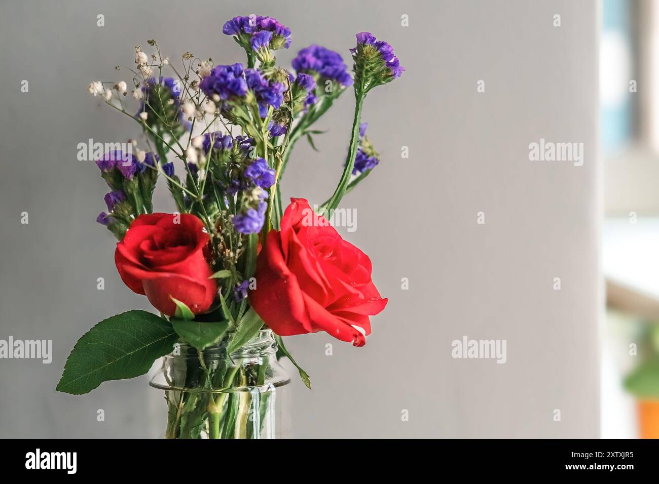 Su uno sfondo bianco, un bouquet di rose fresche accompagnate da alito del bambino viene visualizzato in un vaso d'acqua di vetro. Foto Stock