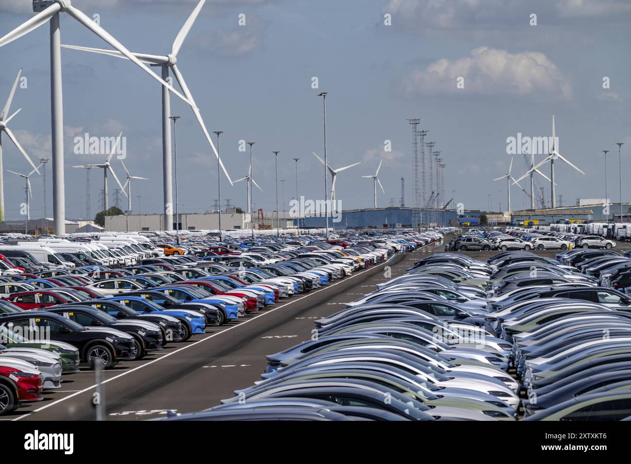 Area di stoccaggio per le autovetture nuove nel porto di Vlissingen-Oost, i veicoli sono temporaneamente immagazzinati su oltre 100 ettari per spedirli dall'Europa all'Unione Foto Stock