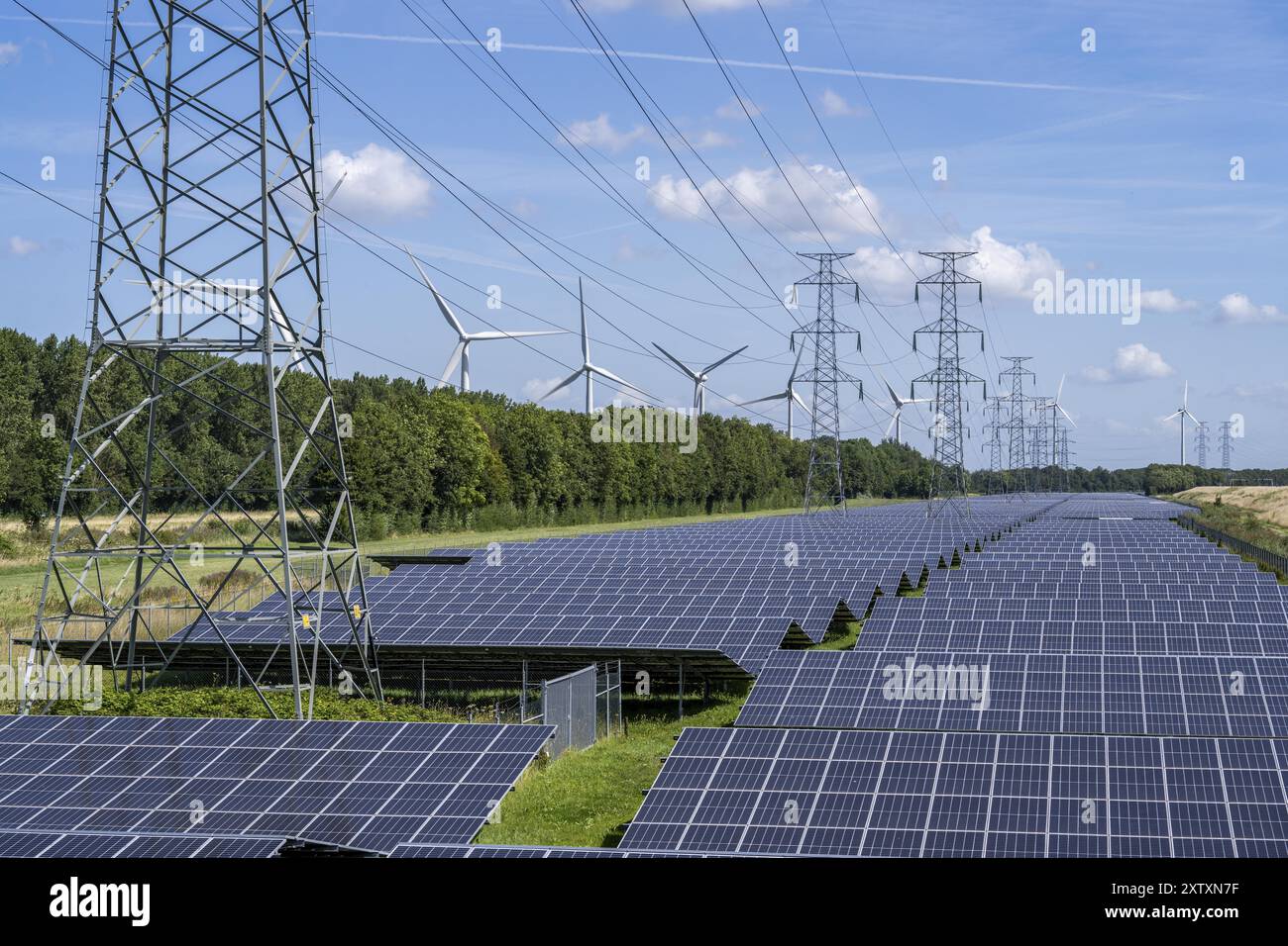Linea elettrica ad alta tensione, lo spazio sottostante è utilizzato per un parco solare lungo oltre 5 km, dietro di esso un parco eolico, nella zona portuale di Vlissingen- Foto Stock Linea elettrica ad alta tensione, lo spazio sottostante è utilizzato per un parco solare lungo oltre 5 km, dietro di esso un parco eolico, nella zona portuale di Vlissingen- Foto Stock