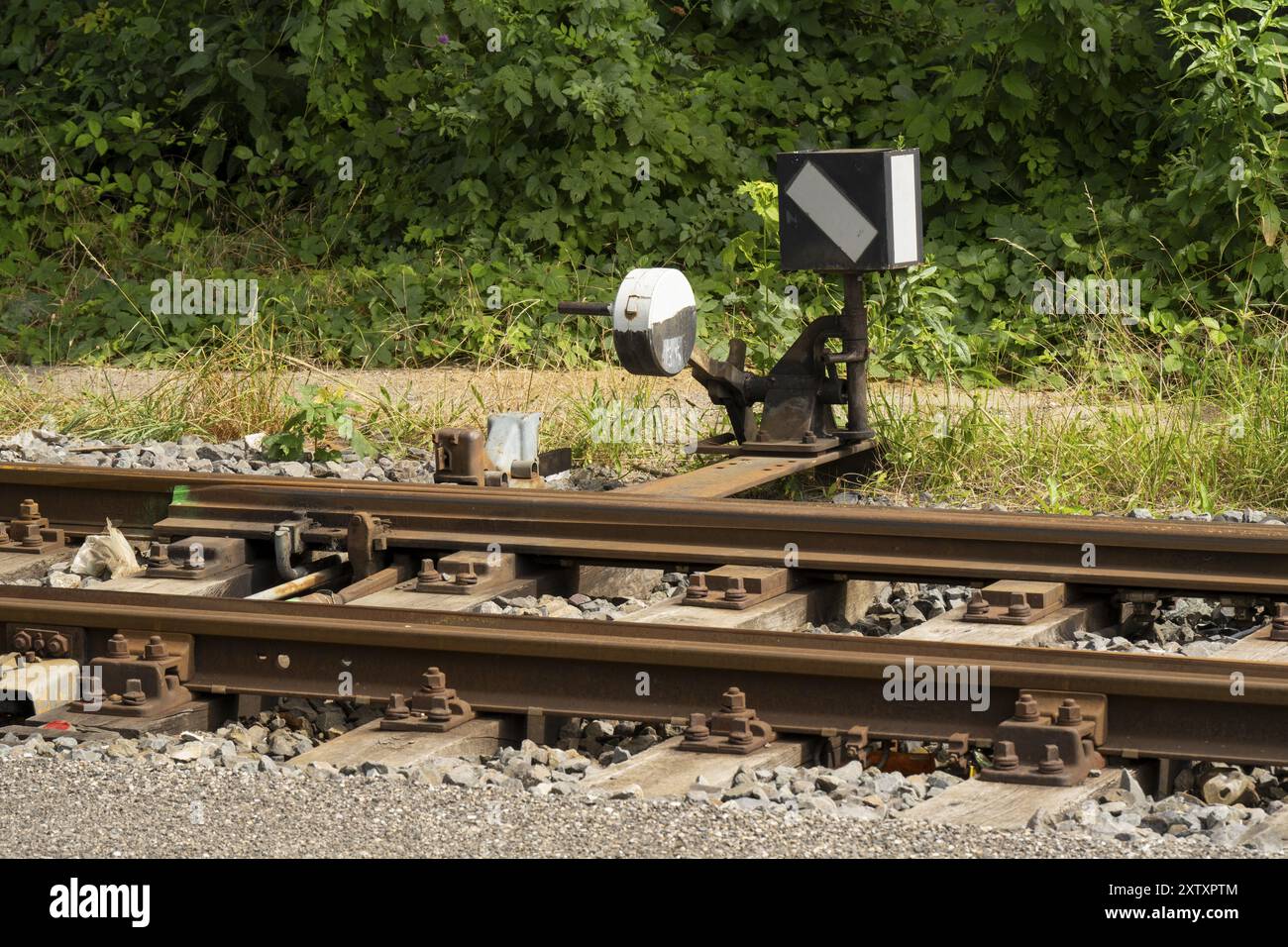 Interruttore manuale sulla linea ferroviaria, Duelmen, Muensterland, Renania settentrionale-Vestfalia, Germania, Europa Foto Stock
