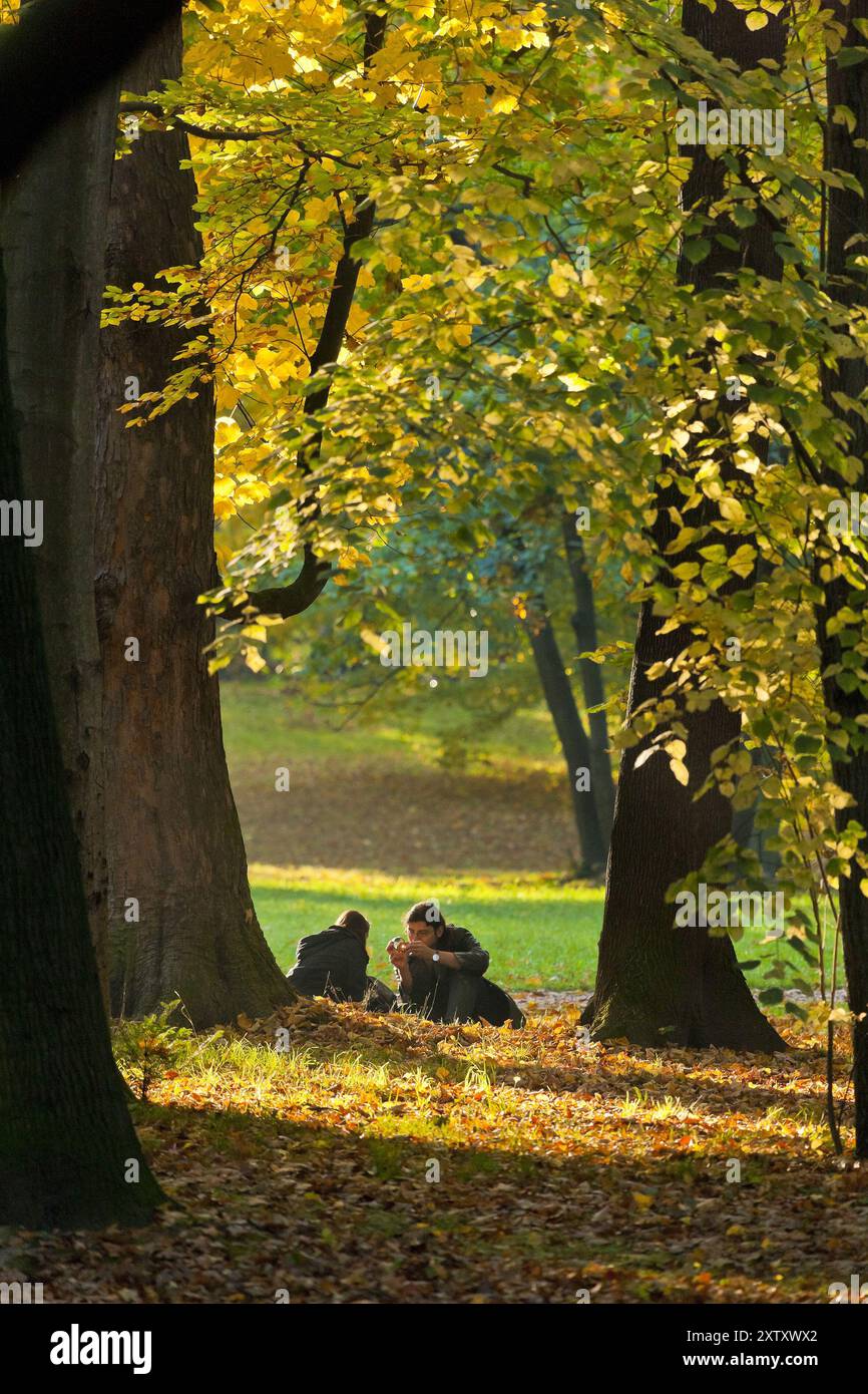 (Copyright Â© Sylvio Dittrich +49 1772156417) Autunno nel grande Giardino il grande Giardino fu allestito a partire dal 1676 per il Principe Elettore e in seguito elettore Foto Stock