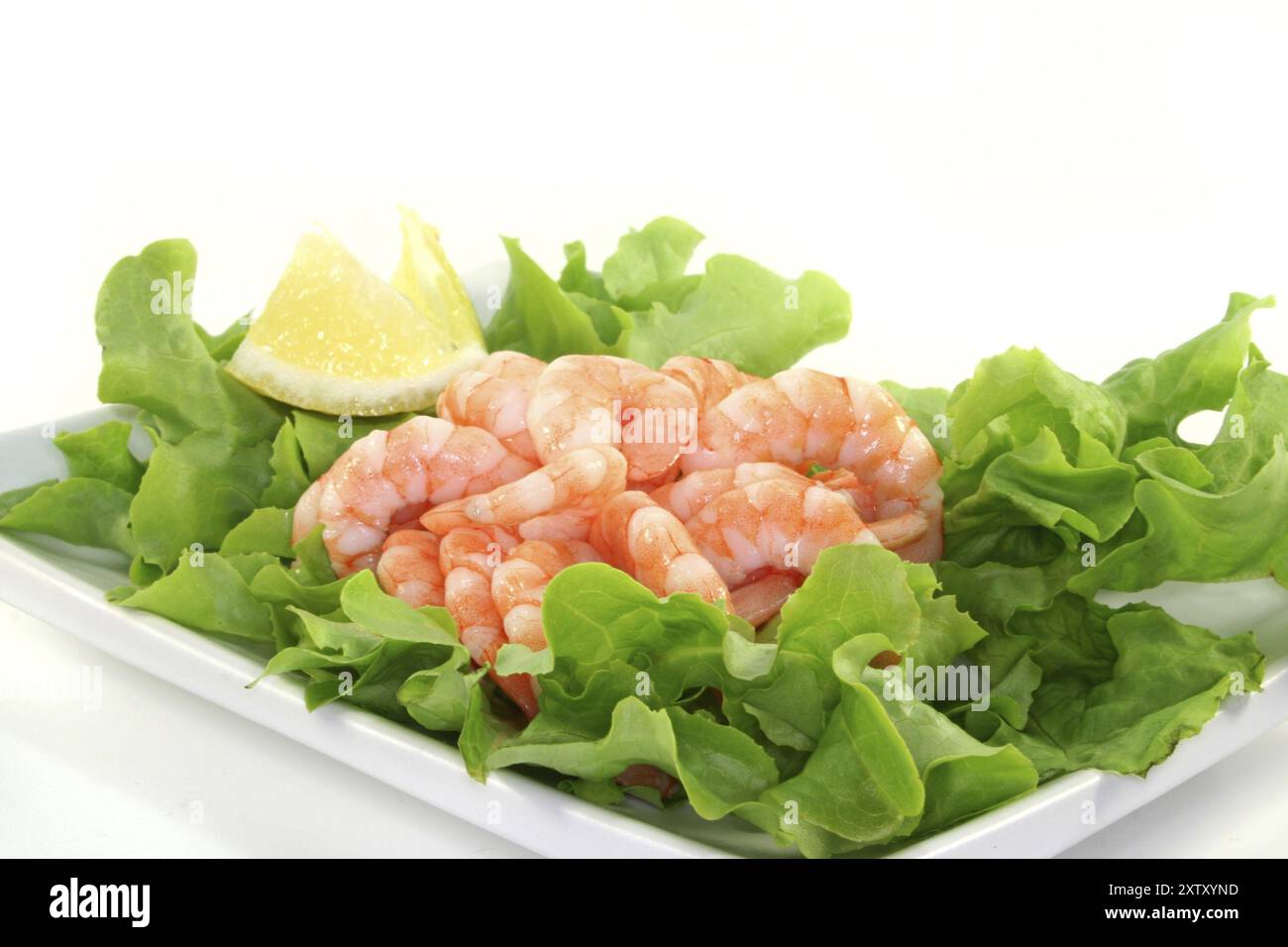 Molti gamberetti crudi con foglie di limone su un piatto Foto Stock