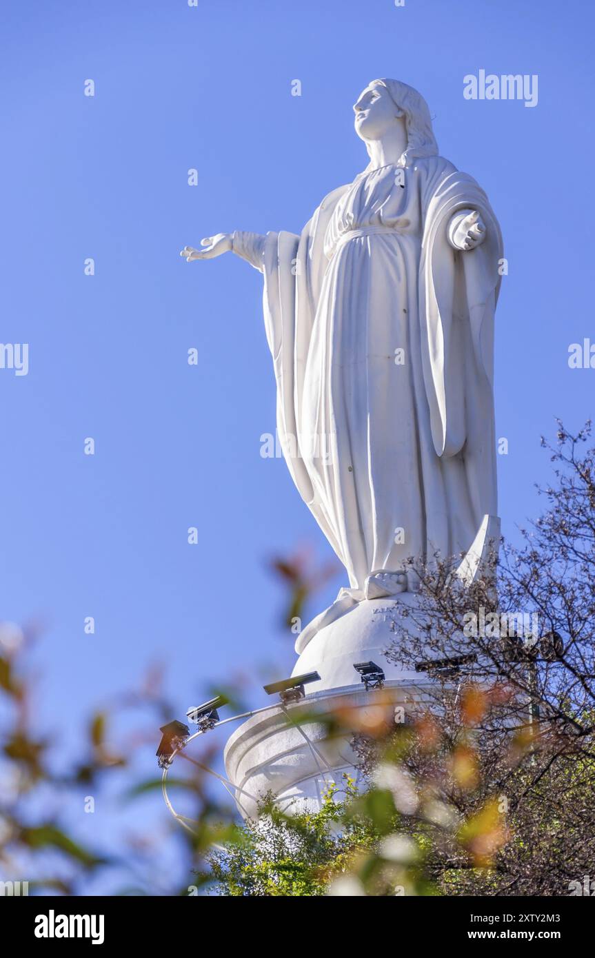Statua della Vergine Maria con fiori in primo piano Foto Stock
