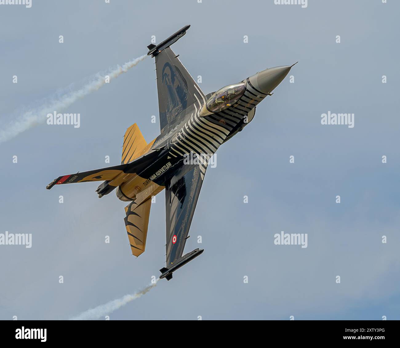Lockheed Martin F-16C Fighting Falcon Foto Stock
