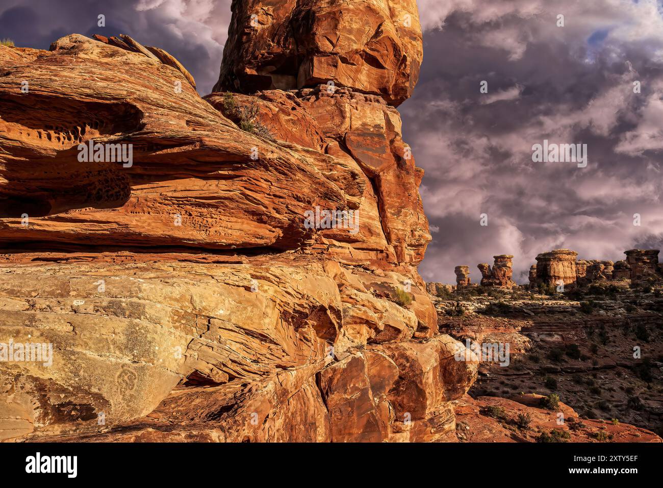 Formazioni di arenaria Navajo, Canyonlands National Monument (area meridionale) Utah Foto Stock