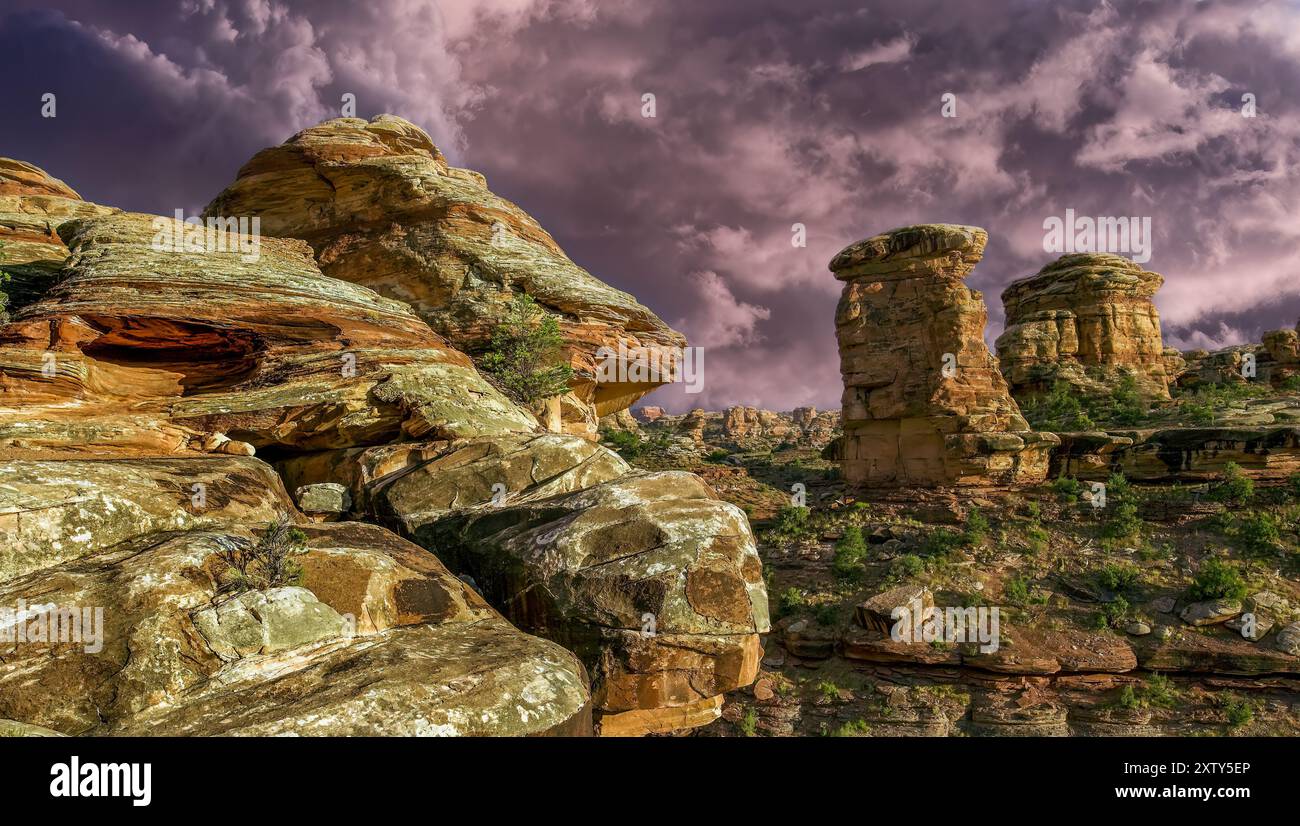 Canyonlands National Monument (zona meridionale), Utah Foto Stock
