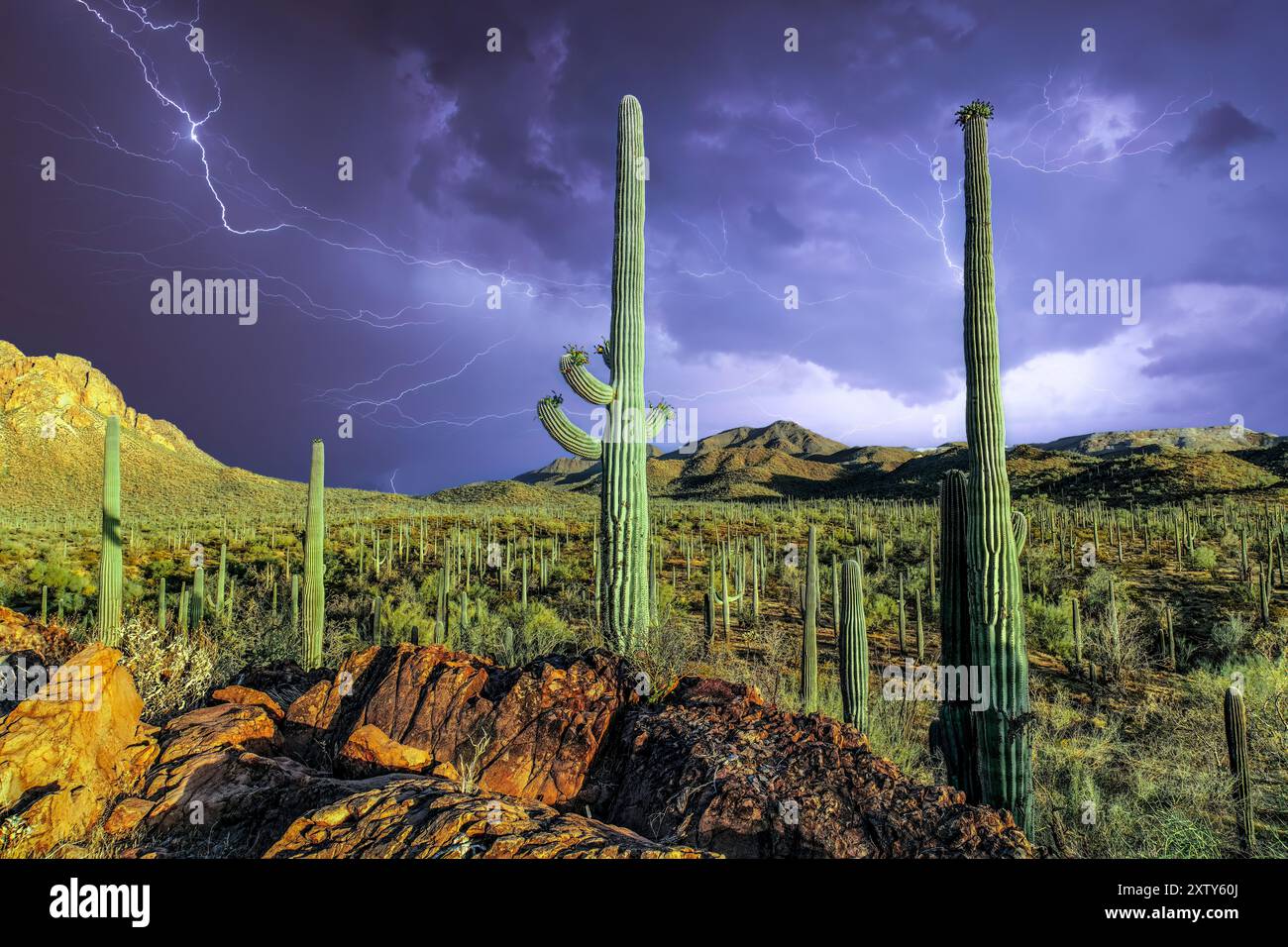 Tempesta elettrica sul monumento nazionale della foresta di Ironwood, Arizona Foto Stock