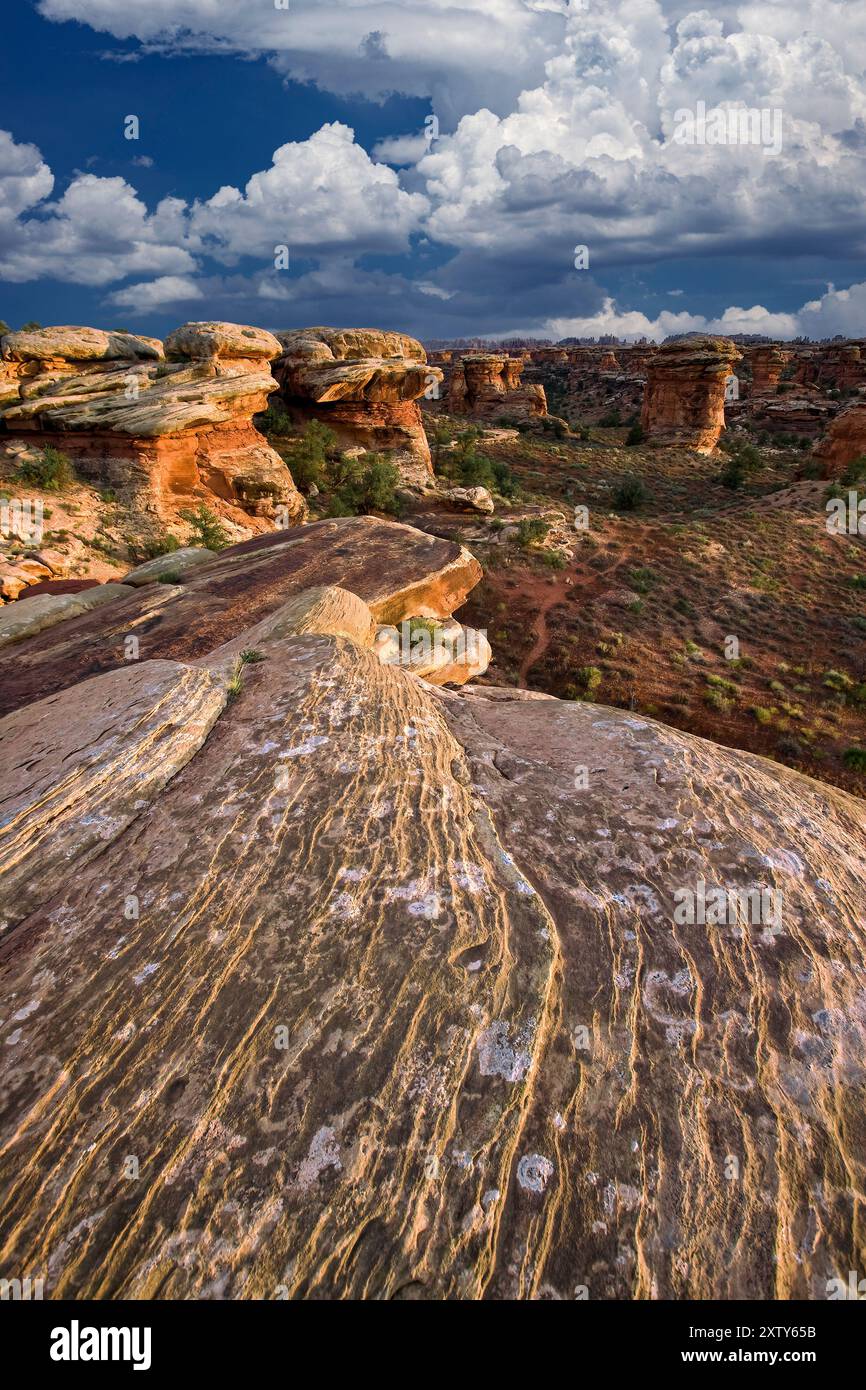 Exfoliating Sandstone, Canyonlands National Monument (area meridionale), Utah Foto Stock