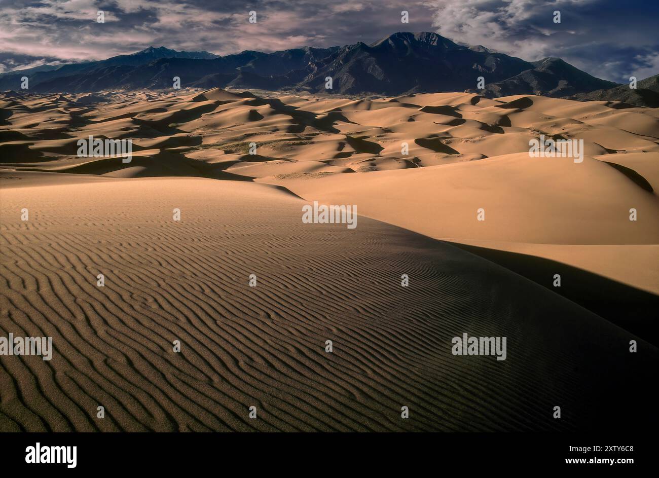 Grandi dune di sabbia Monumento Nazionale, Colorado Foto Stock