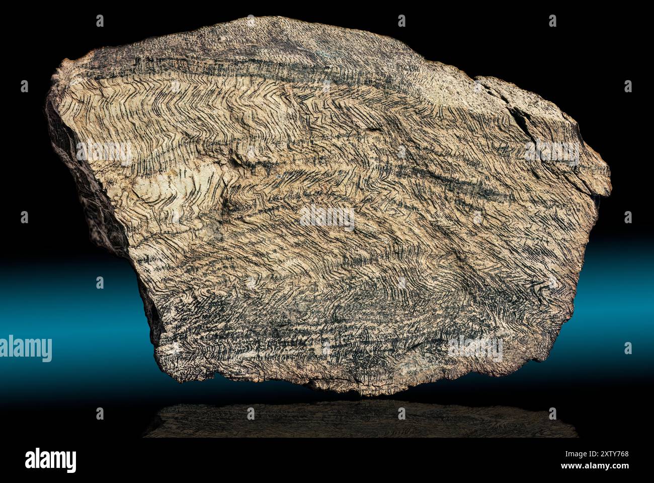 Orthogneiss, Bisti Badlands, New Mexico Uno gneiss con mineralogia e consistenza che indica la derivazione da un protolito di roccia ignea faneritica. Foto Stock