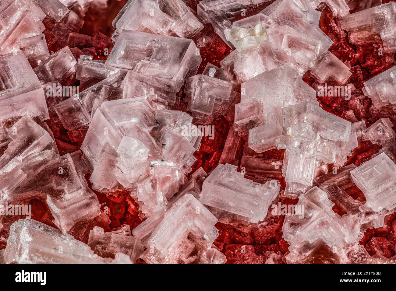 Cristalli di Halite rosa Foto Stock