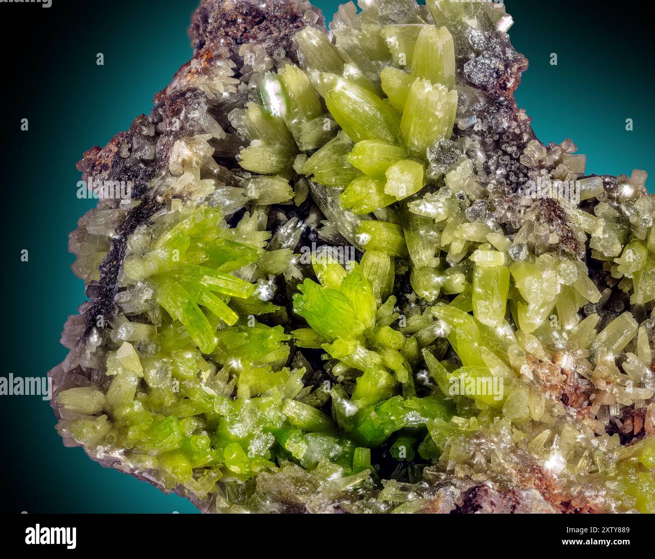 Pyromorphite, Guang xi, Yang Suo, China Pyromorphite è una specie minerale composta da clorofosfato di piombo. I cristalli sono comuni e hanno la forma di Foto Stock