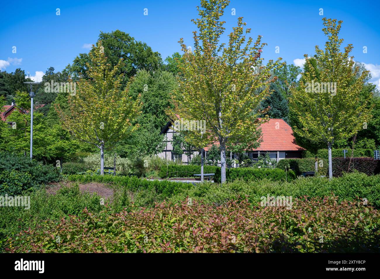 Università svedese di Scienze Agrarie, SLU Ultuna Campus, Uppsala, Svezia Foto Stock