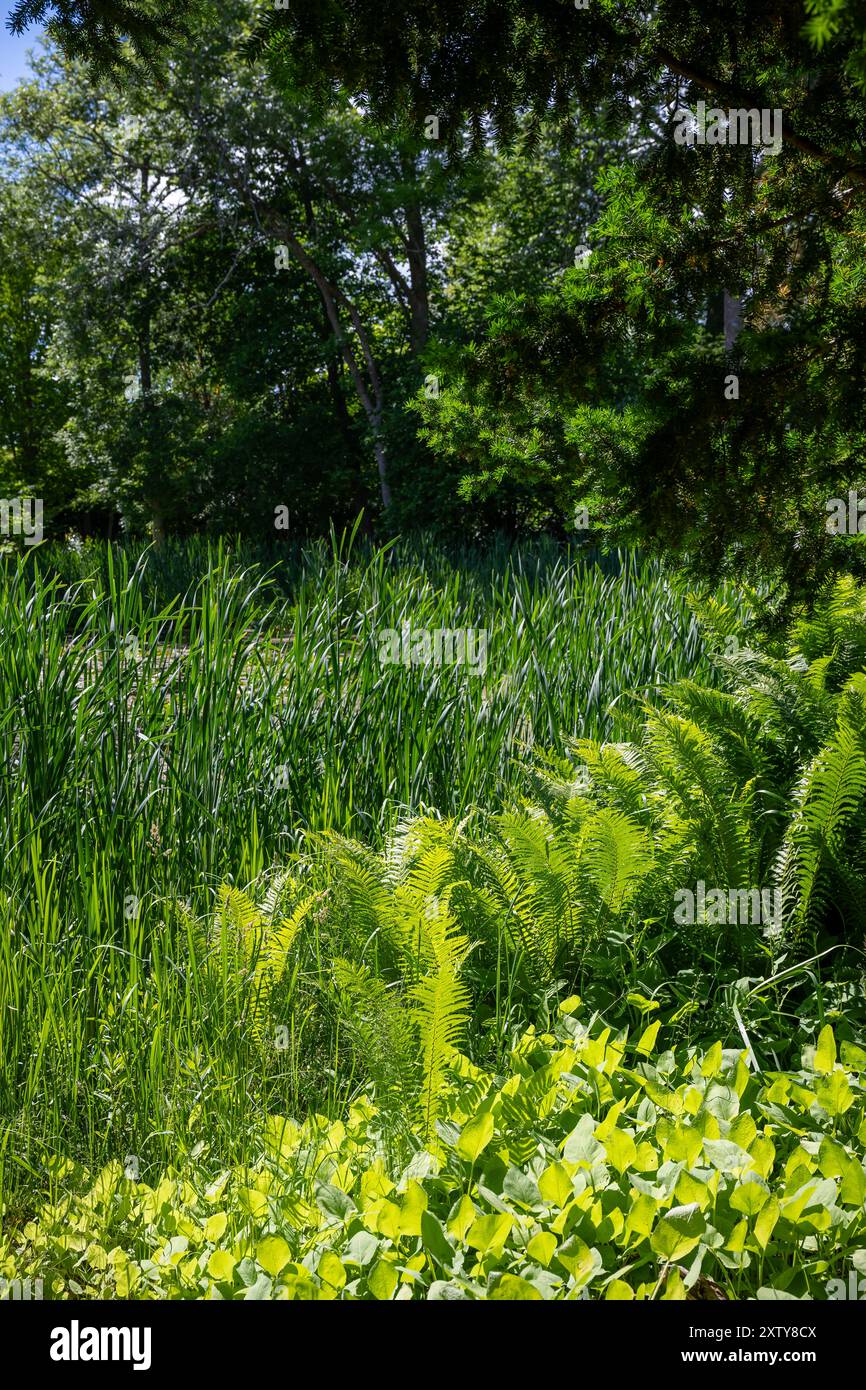 Università svedese di Scienze Agrarie, SLU Ultuna Campus, Uppsala, Svezia Foto Stock