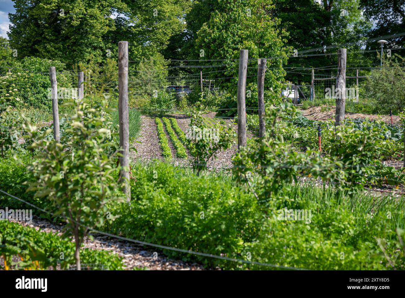 Università svedese di Scienze Agrarie, SLU Ultuna Campus, Uppsala, Svezia Foto Stock