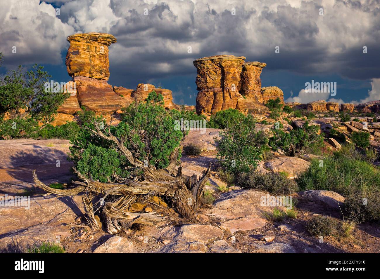 Canyonlands National Monument (zona meridionale), Utah Foto Stock