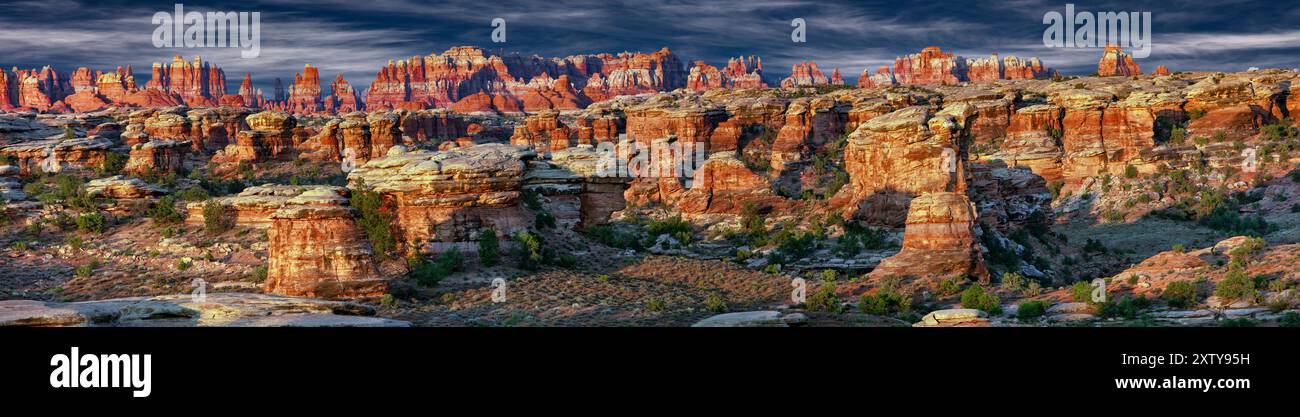 The Needles, monumento nazionale delle Canyonlands (zona meridionale), Utah Foto Stock
