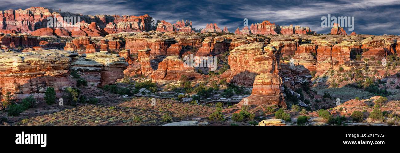 The Needles, monumento nazionale delle Canyonlands (zona meridionale), Utah Foto Stock