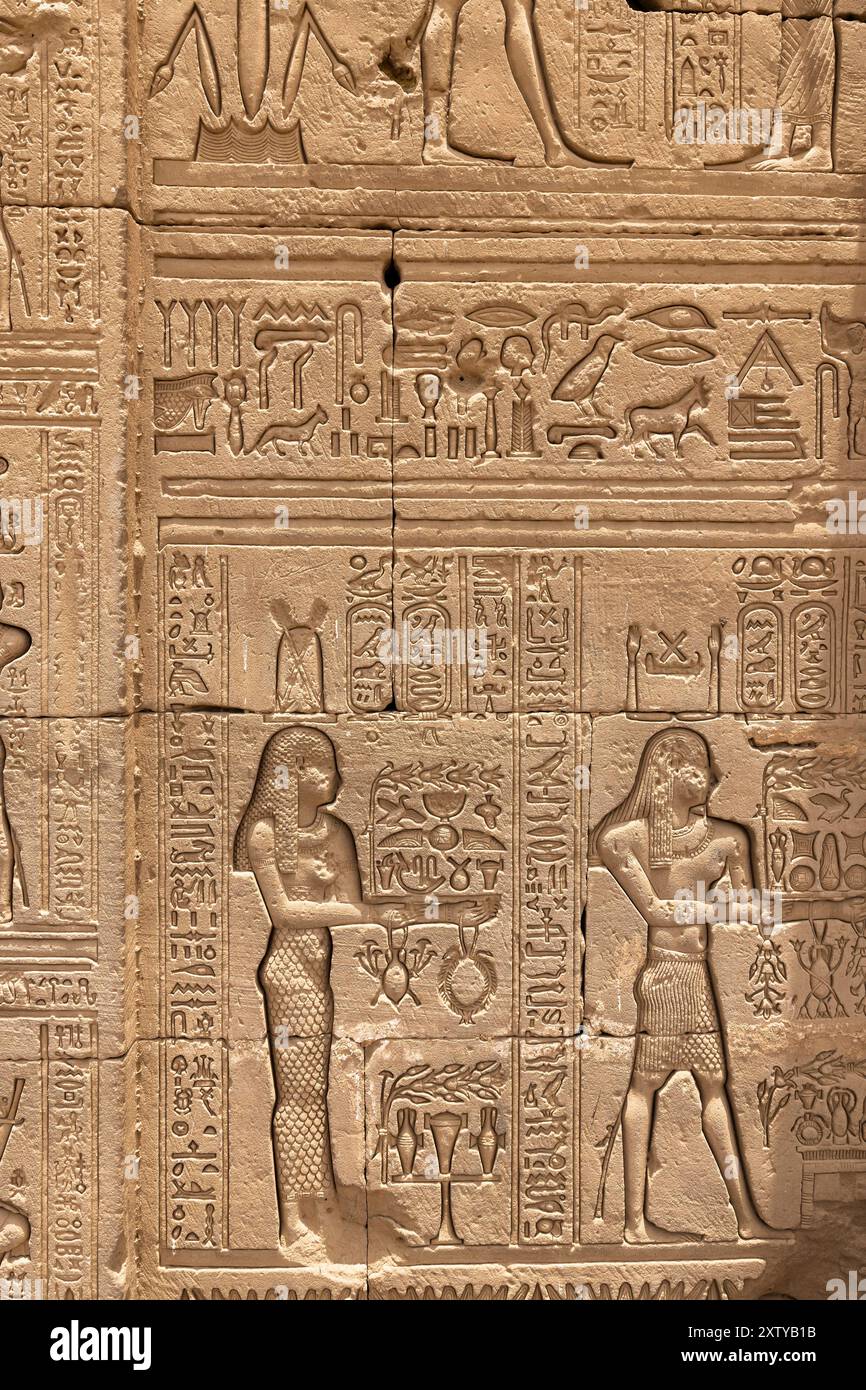 Complesso del tempio di Dendera (Denderah), tempio di Hathor, parete esterna occidentale con rilievi, Governatorato di Qena, Egitto, Nord Africa, Africa Foto Stock