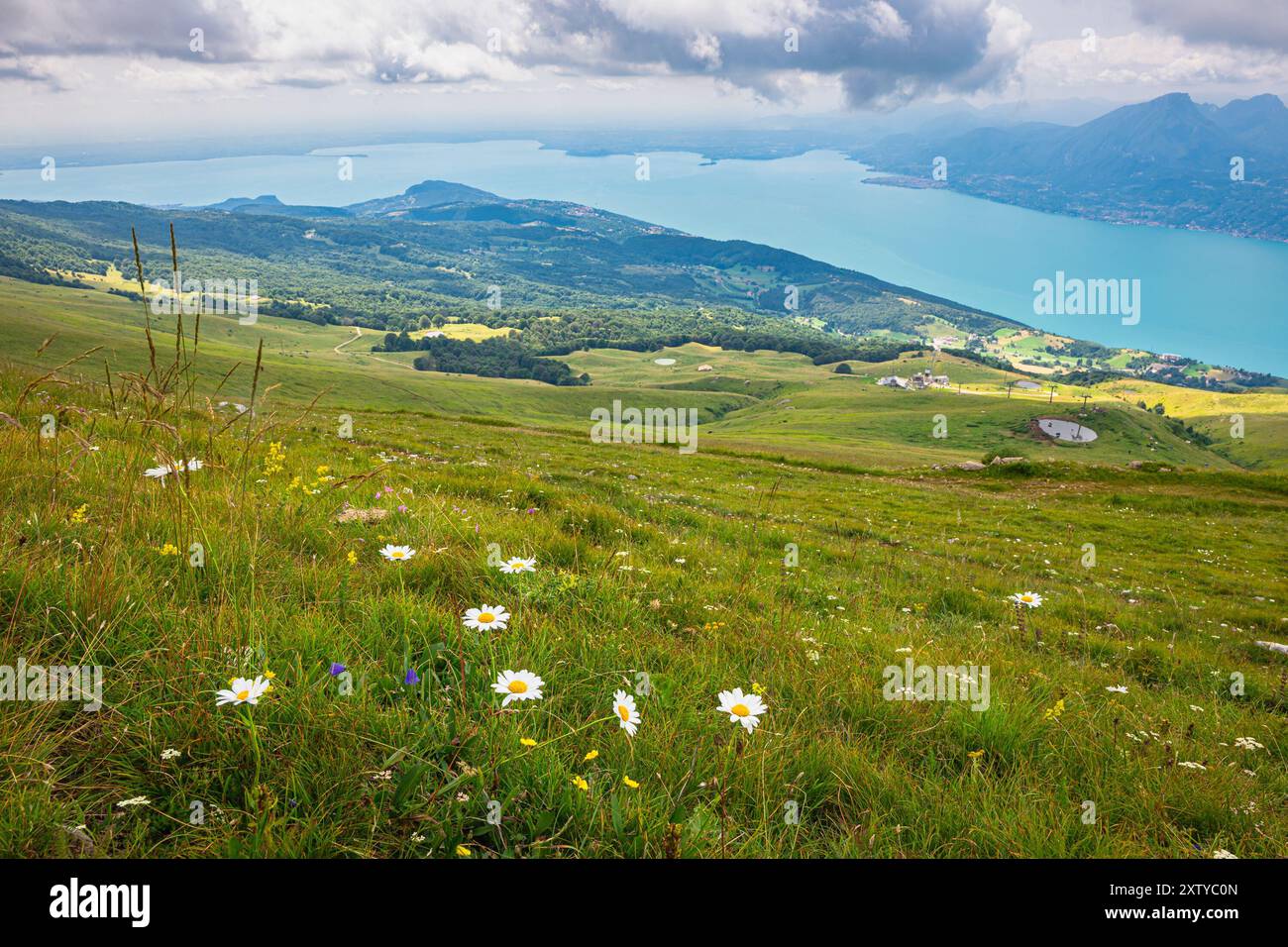 Vista del Lago di Garda blu, Italia e dintorni da un prato di montagna con fiori selvatici. Foto Stock