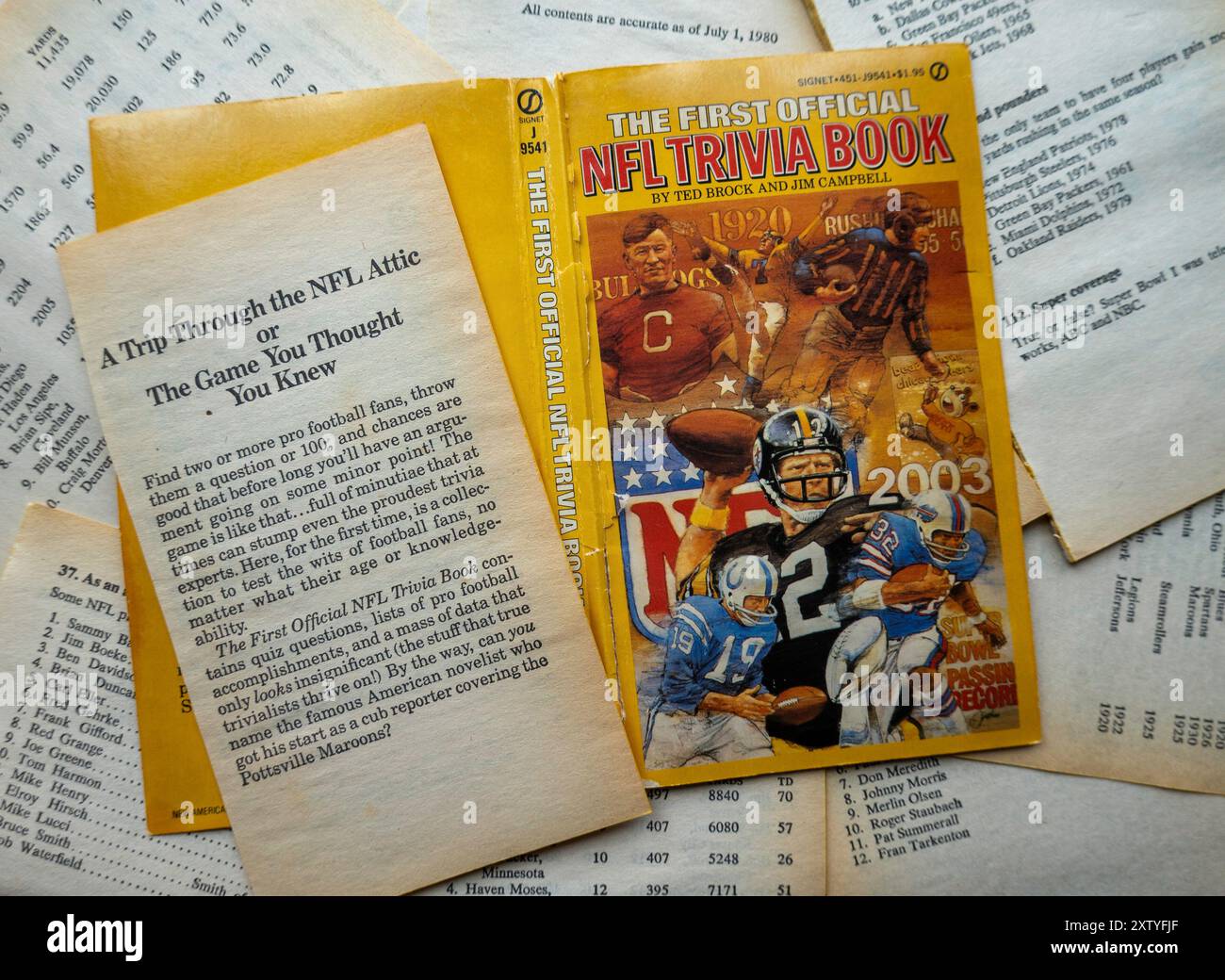 Il primo libro ufficiale sulle curiosità della NFL fu pubblicato nel 1980 e conteneva informazioni sulle squadre e sui giocatori degli Stati Uniti Foto Stock