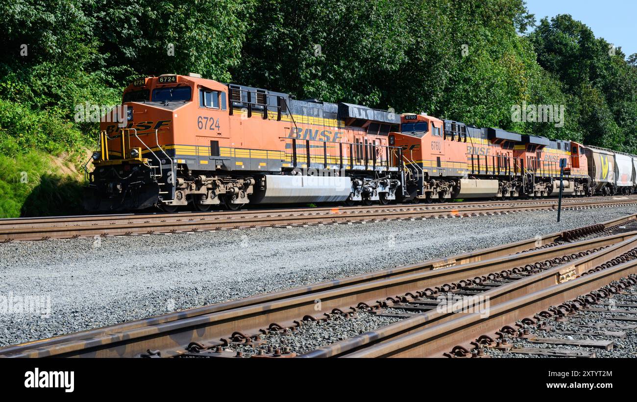 Everett, WA, USA - 28 luglio 2024; treno merci BNSF con binari ferroviari per il trasporto di merci con motori multipli Foto Stock