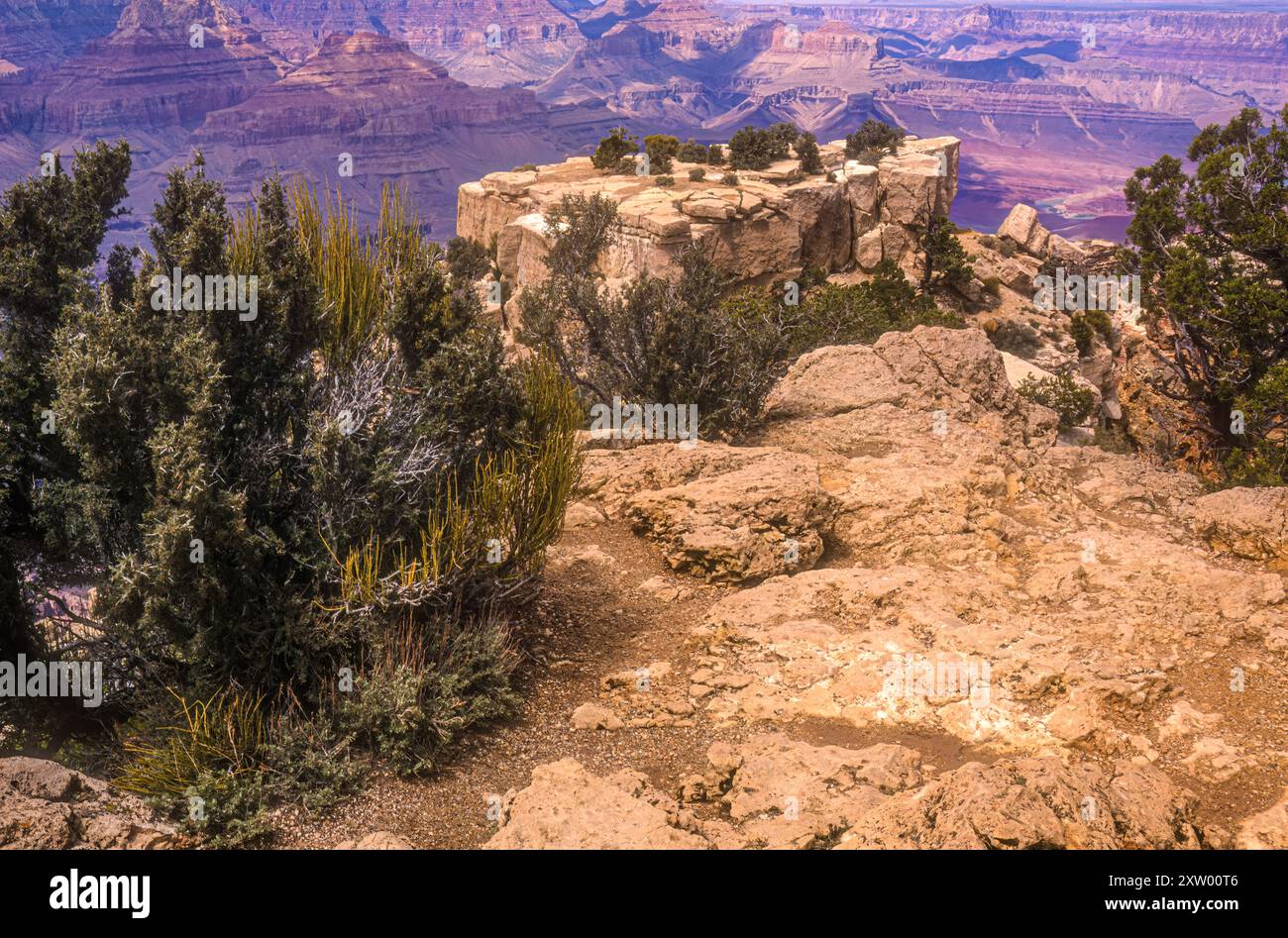 Vista del Grand Canyon da Moran Point sul South Rim nell'Arizona settentrionale. (USA) Foto Stock