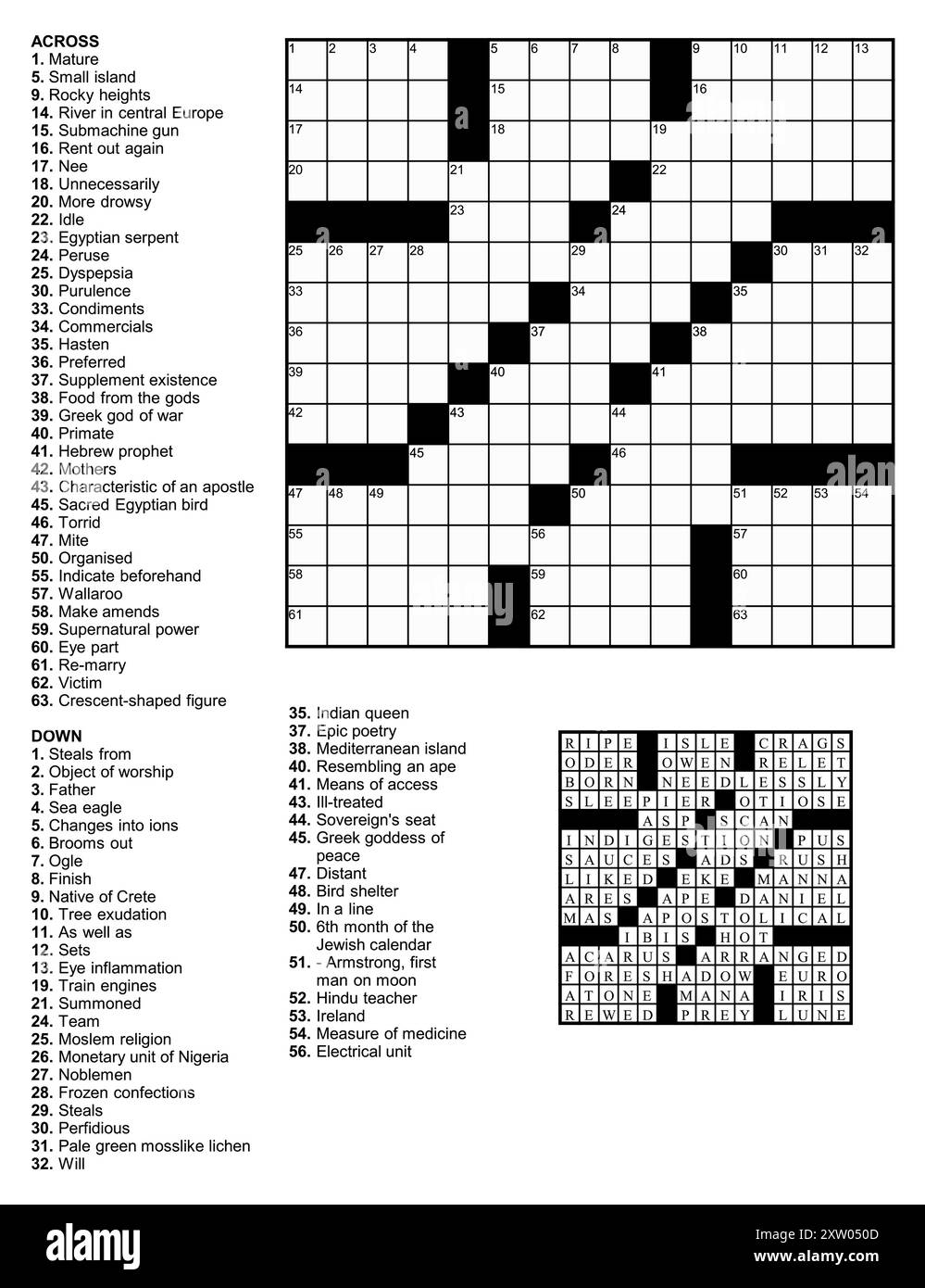 Puzzle americano Crossword con 15 x 15 quadrati con indizi e soluzione. Illustrazione Vettoriale