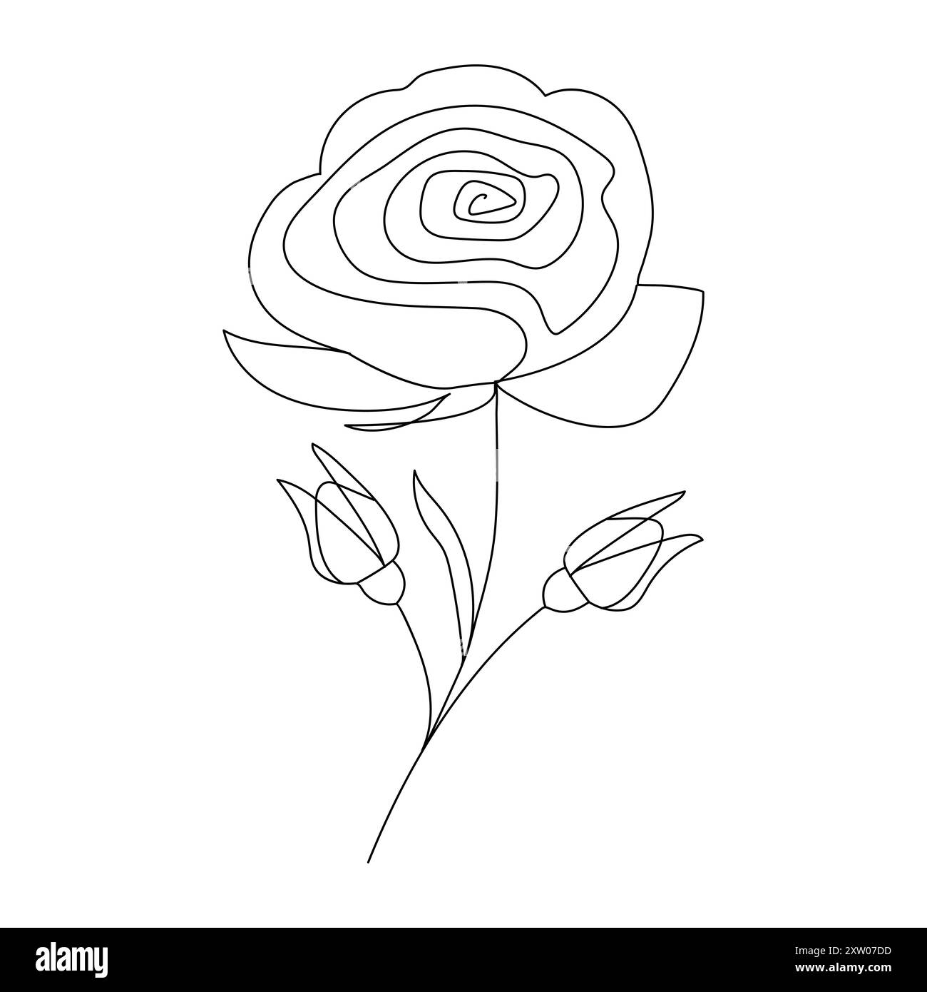 Design a rosa singolo continuo con una linea, rose disegnate a mano, illustrazione a linee artistiche Illustrazione Vettoriale