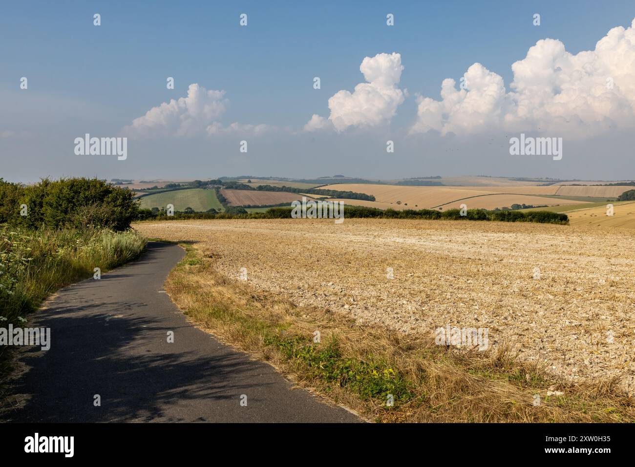 Una pista ciclabile che costeggia terreni agricoli tra Falmer e Woodingdean nel Sussex Foto Stock