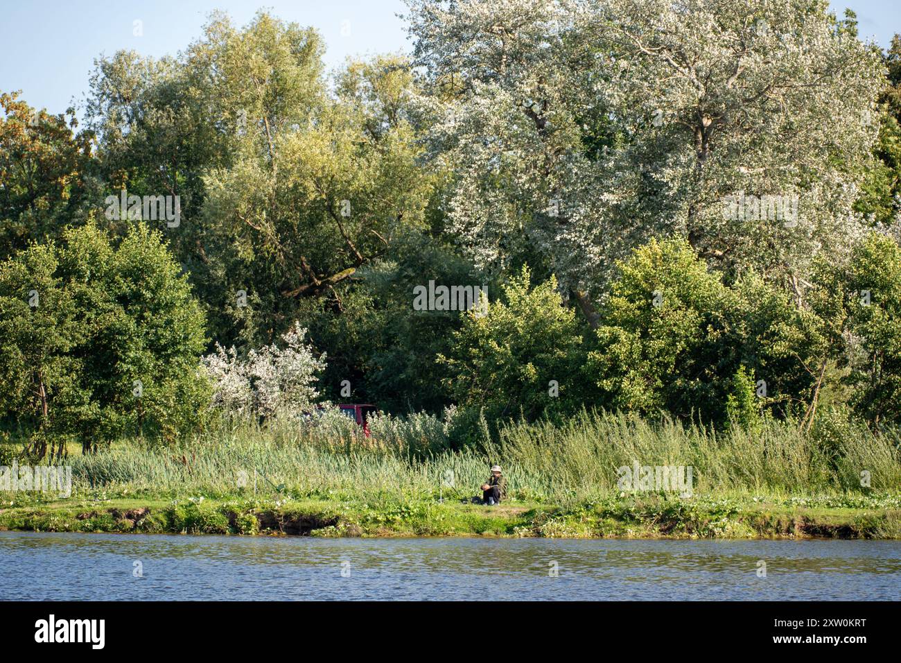 Un uomo che pesca a Kaliningrad attraverso il fiume Skirvytė da Rusne, Lituania. La Russia ha spostato truppe da Kaliningrad a Kursk, dice il ministro lituano. Rusnė è una città di confine nel distretto di Šilutė, Lituania, situata sull'isola di Rusnė nel delta del Nemunas, 9 km a sud-ovest di Šilutė. Rusnė si trova sul confine russo, Kaliningrad, che è segnato dal fiume Skirvytė. Rusnė fu menzionata per la prima volta nelle fonti storiche nel XIV secolo. Nel 1946 Rusnė ricevette i diritti municipali e nel 1967 l'intera isola di Rusnė ottenne questo status. Alcune parti della città di Rusnė vicino al lago Dumblė sono localizzate Foto Stock