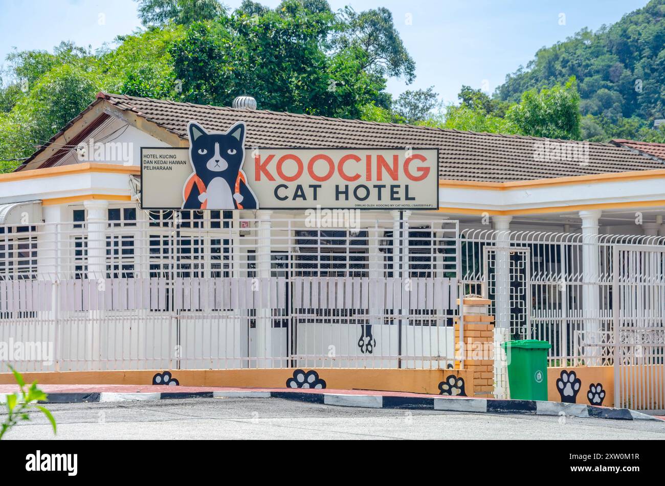 Koocing Cat hotel, dove i residenti di Penang, Malesia, possono lasciare i loro gatti quando vanno in vacanza, Foto Stock